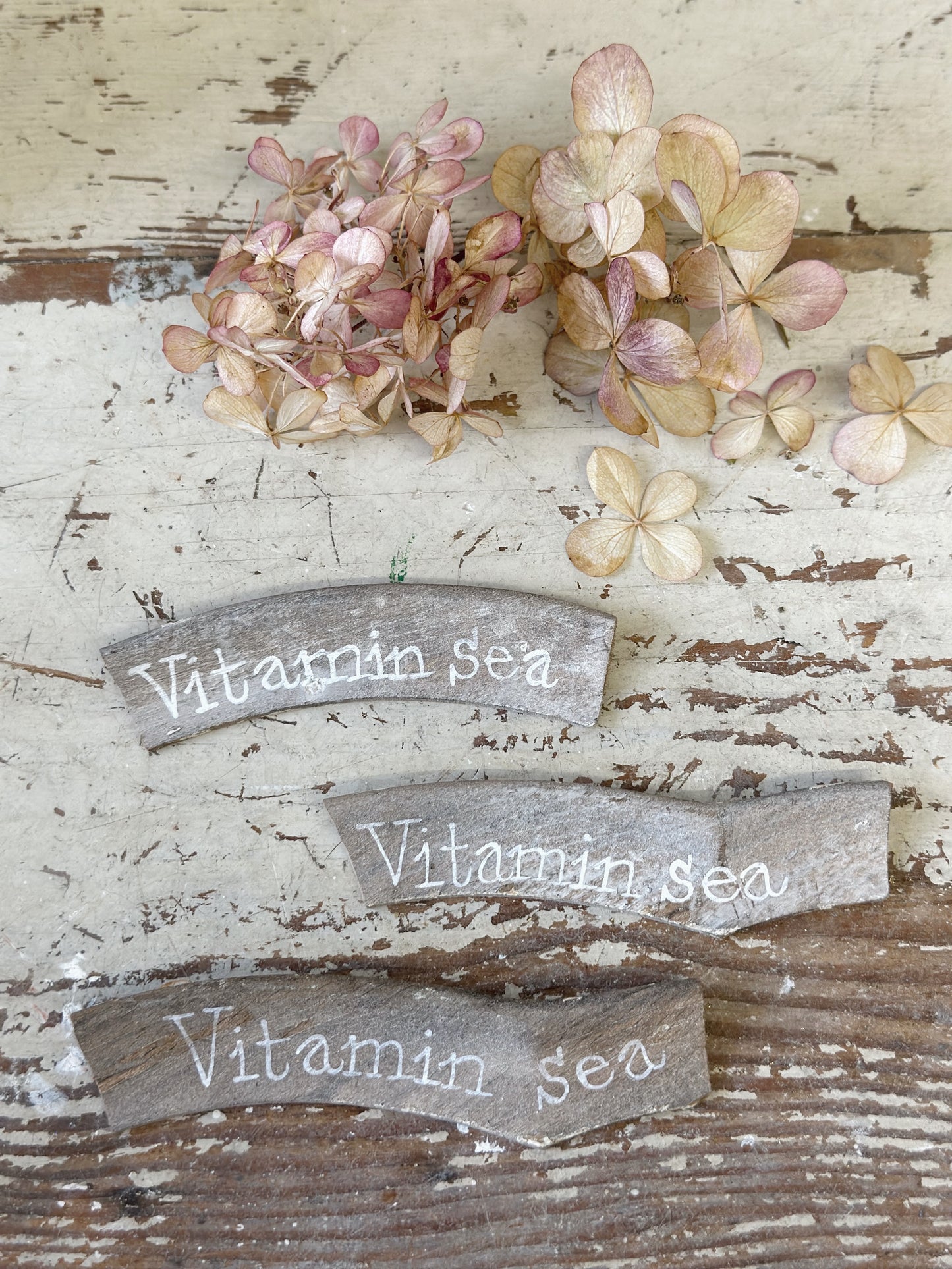 A driftwood fragment with a hand painted quote