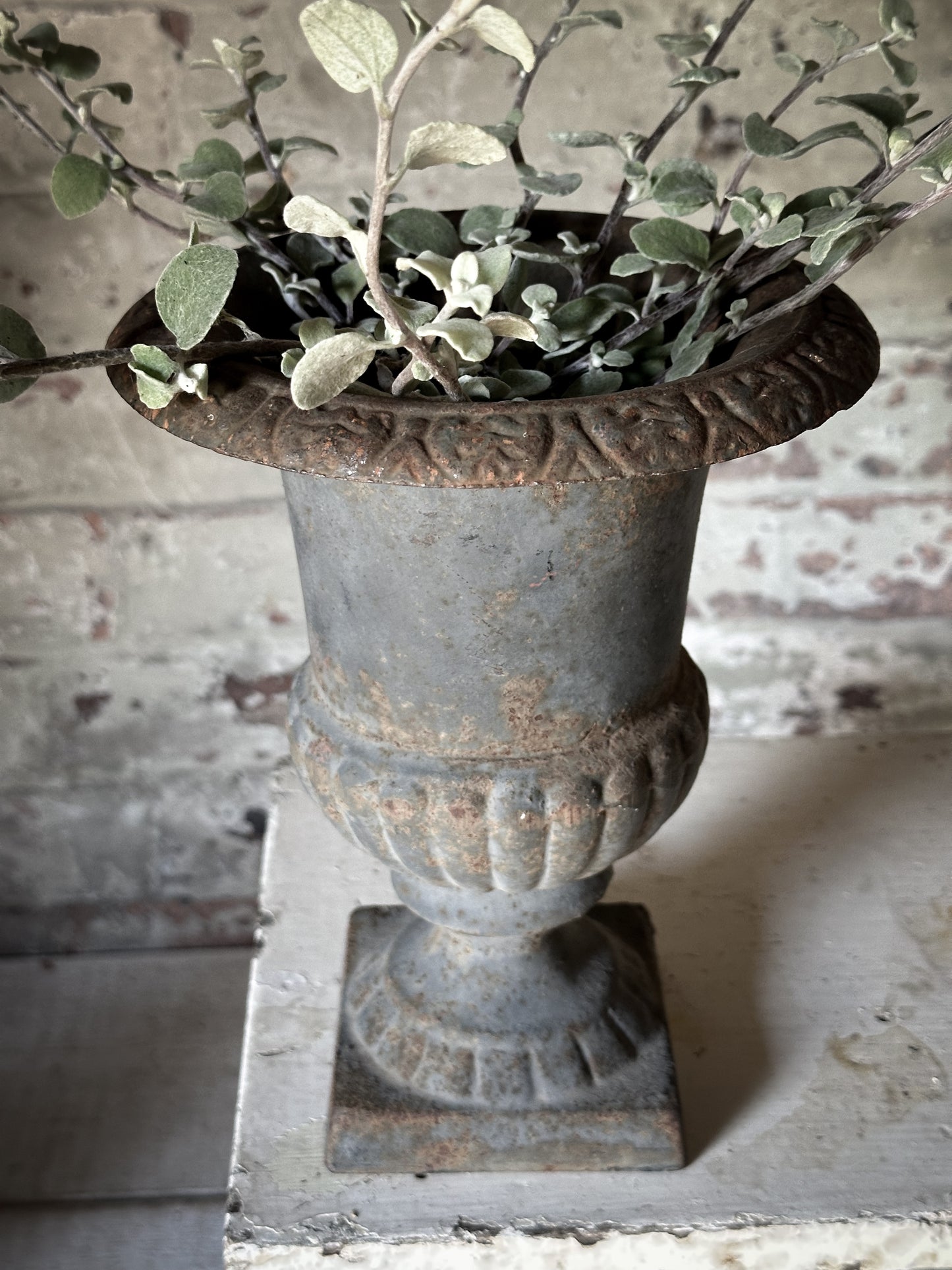 Gorgeous French Cast Iron Urn
