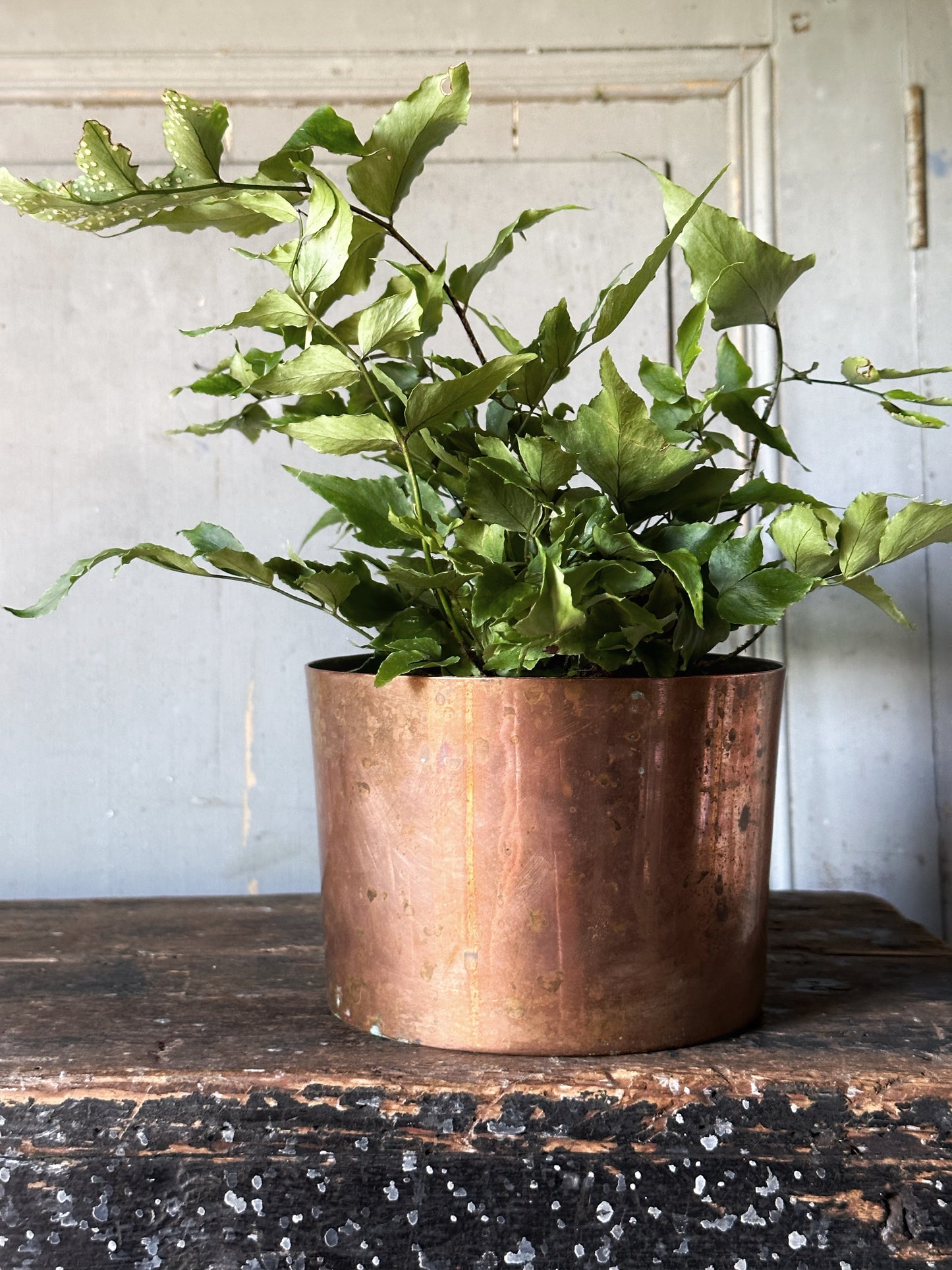 Antique copper soufflé pot