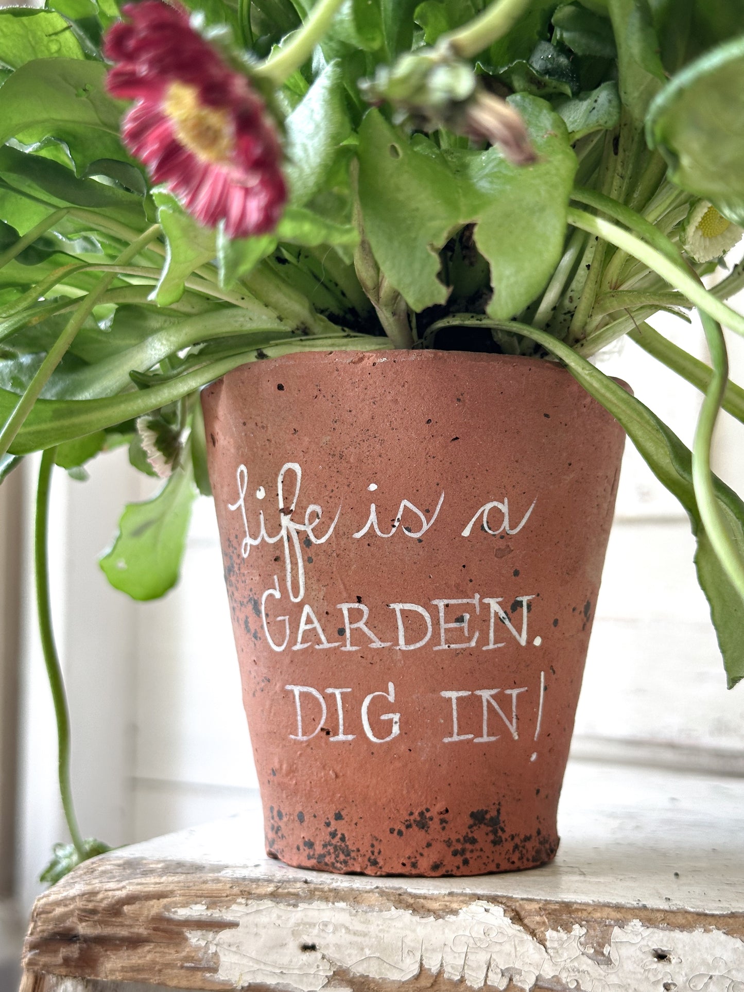 A Victorian terracotta pot with a quote