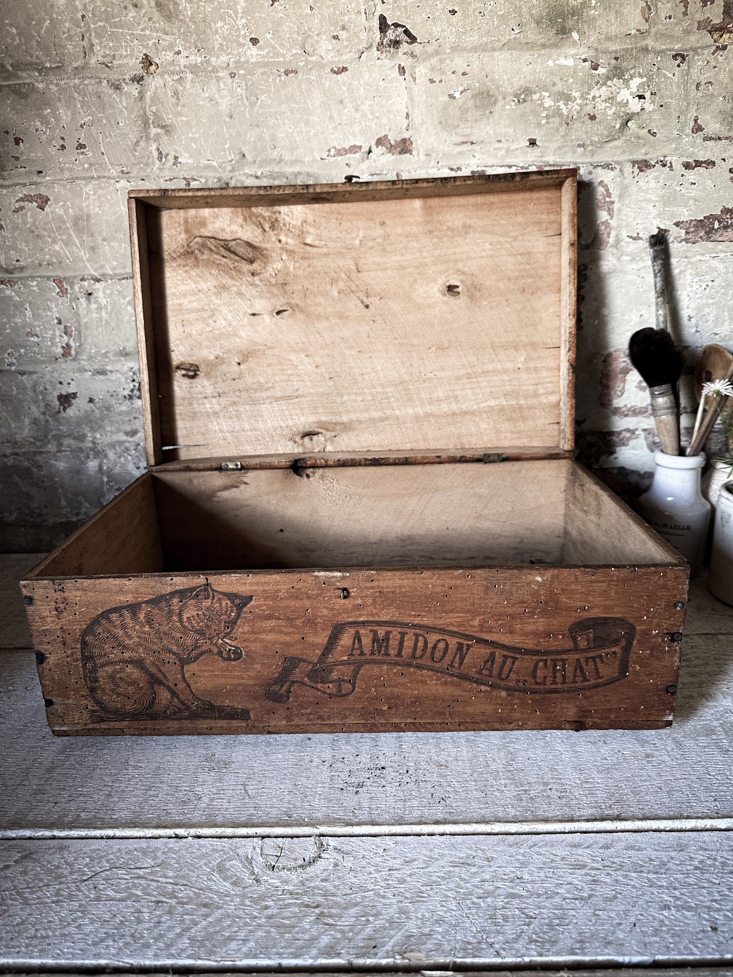 Amidon Au Chat Diplome D’ Honneur Shop Counter Box