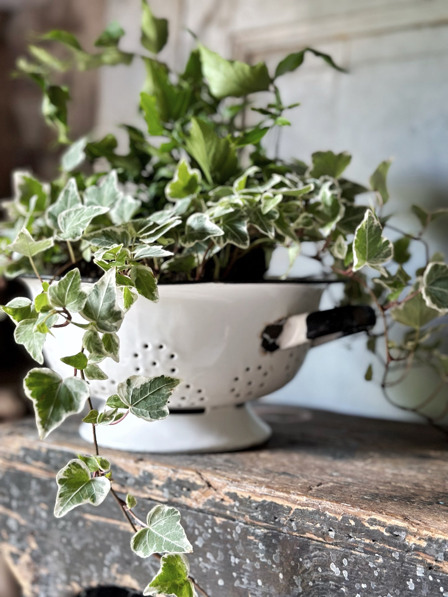 A gorgeous vintage white enamelware colander