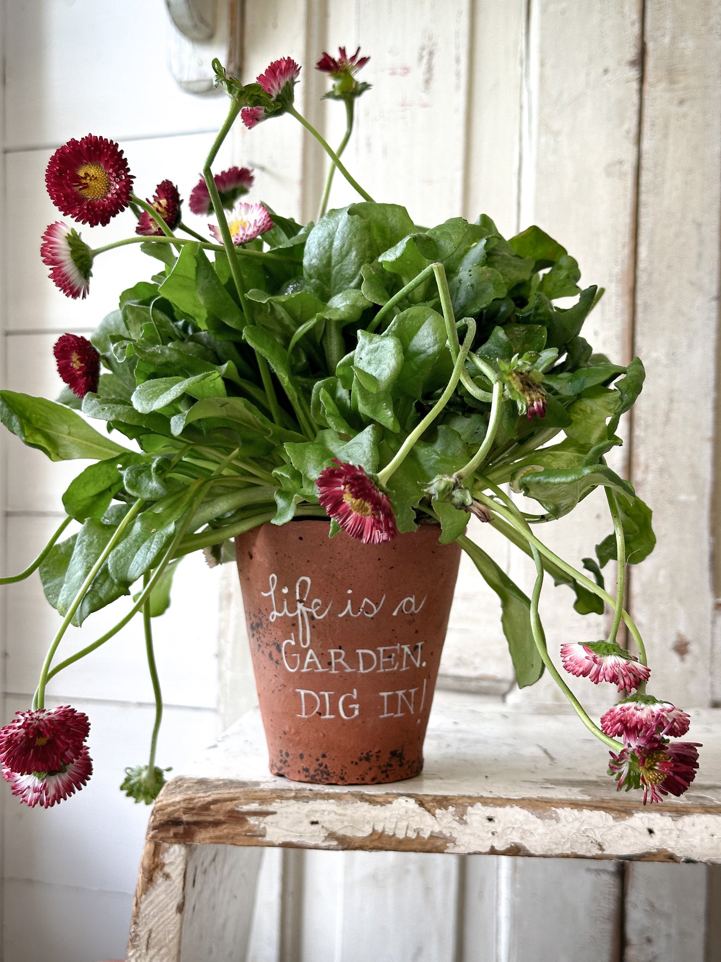 A Victorian terracotta pot with a quote