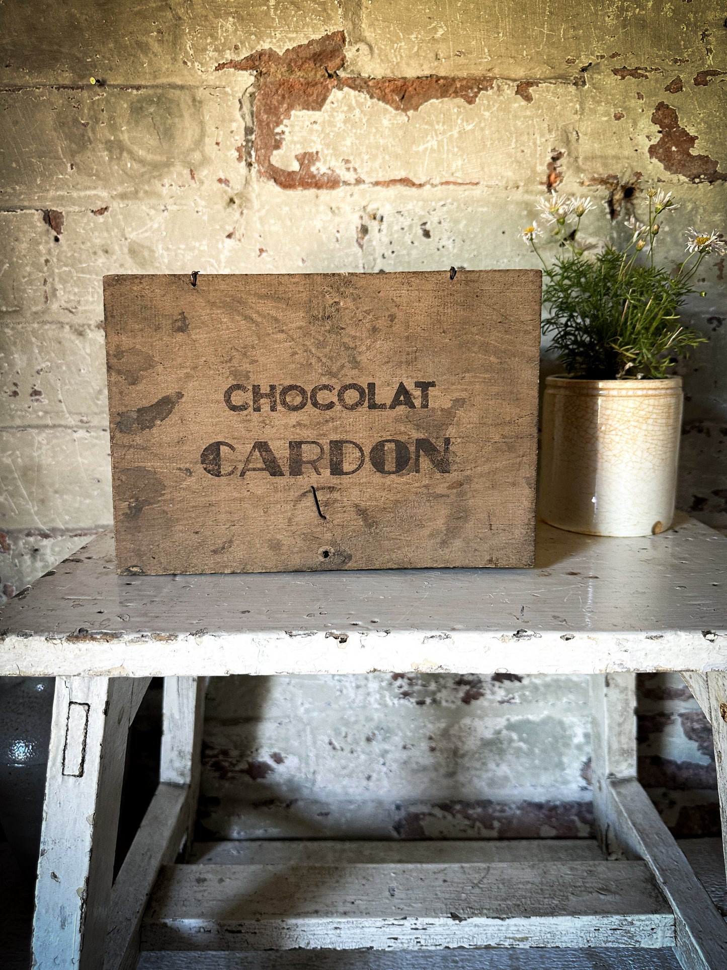 Chocolat Cardon Antique French Shop Counter box