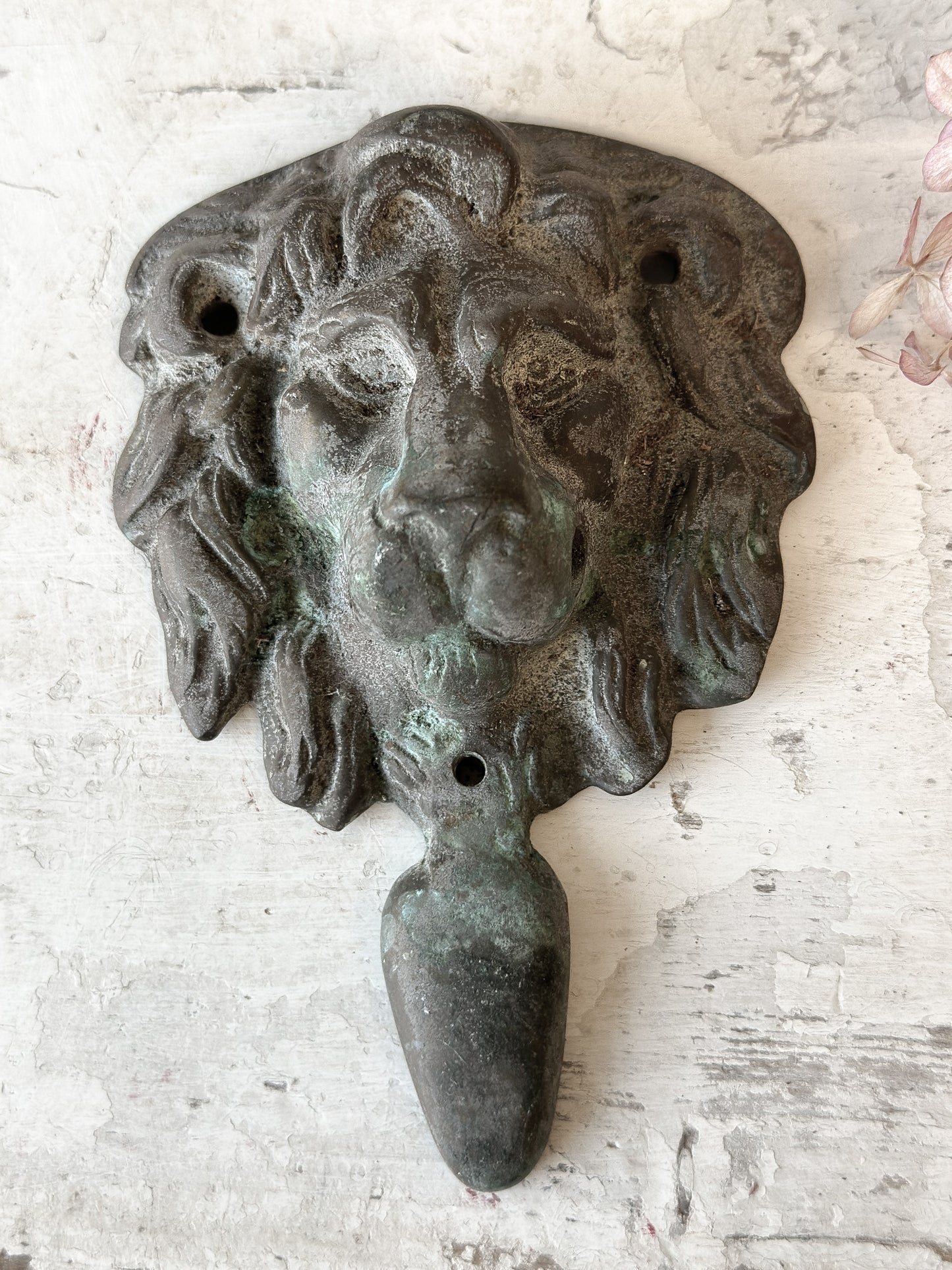 Beautiful weathered brass lion knocker