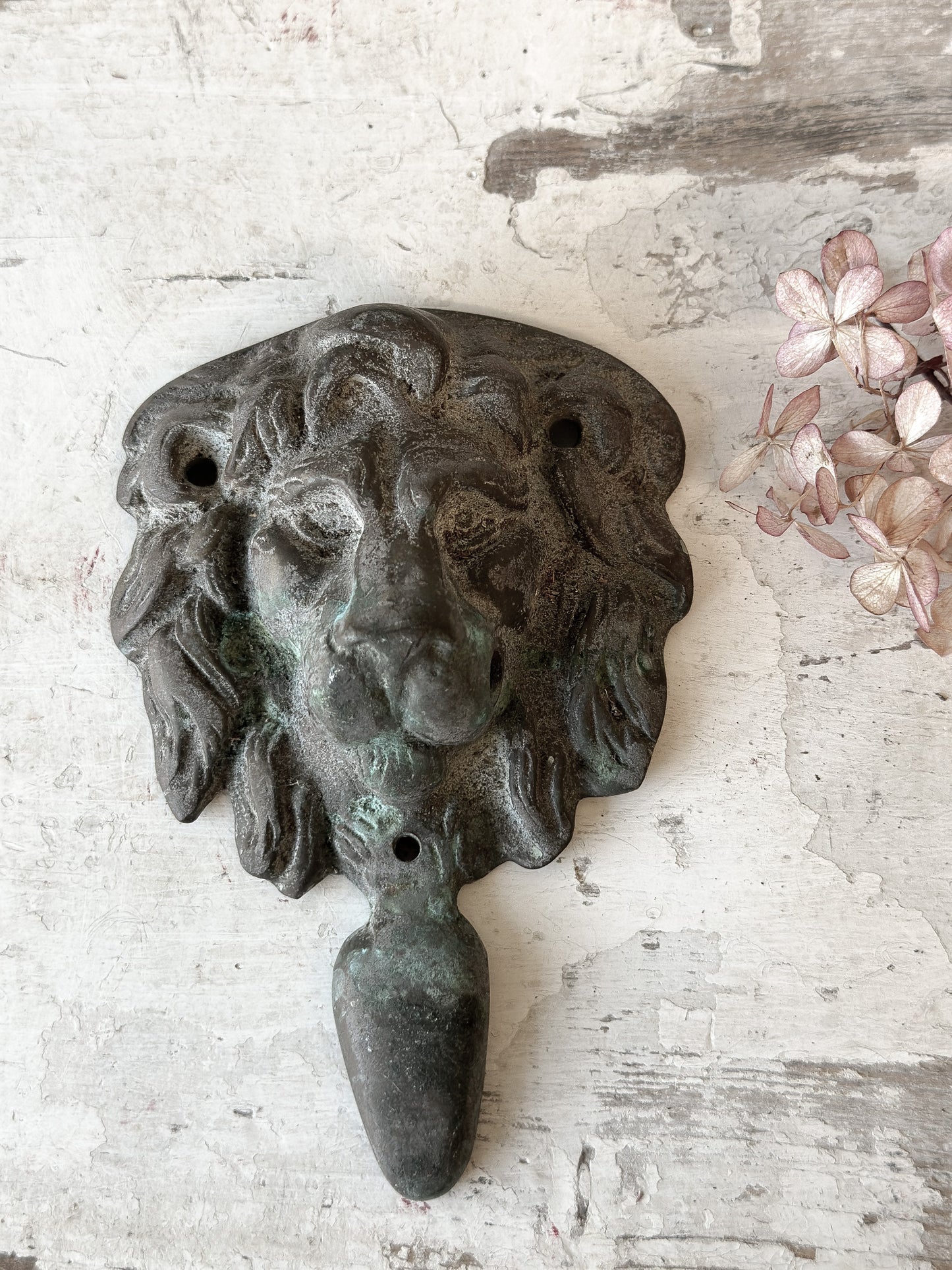 Beautiful weathered brass lion knocker