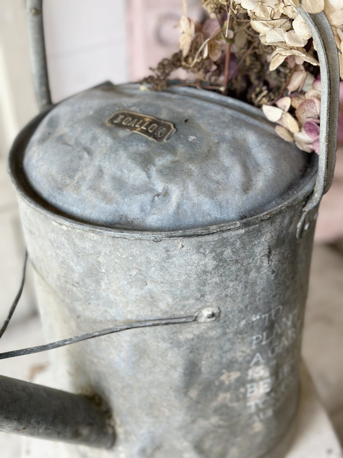 A beautiful vintage galvanised watering can planter