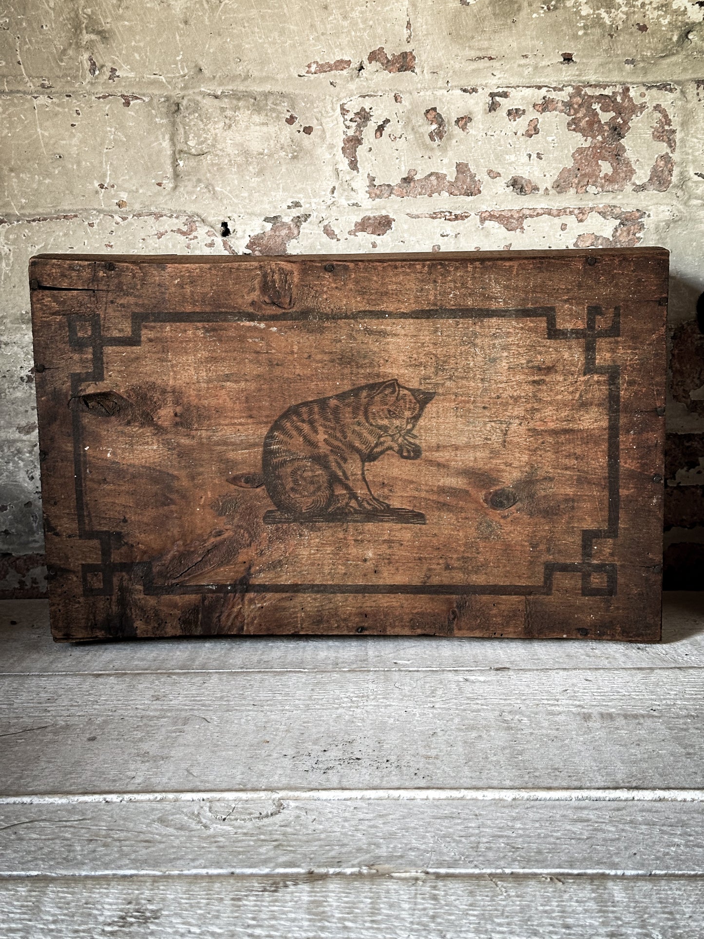 Amidon Au Chat Diplome D’ Honneur Shop Counter Box