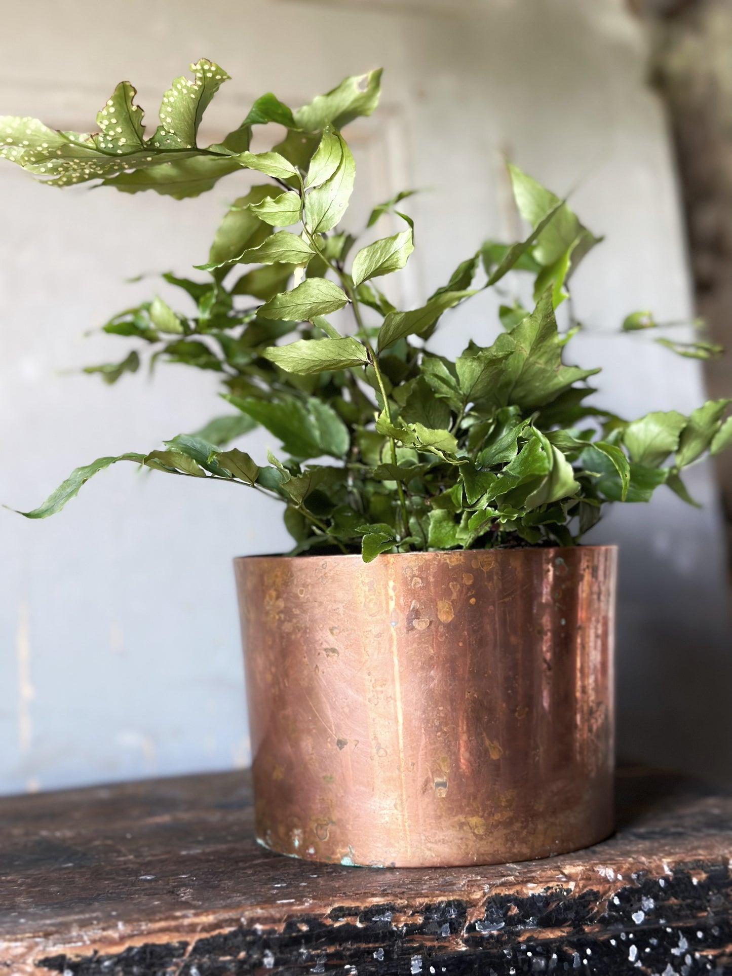 Antique copper soufflé pot