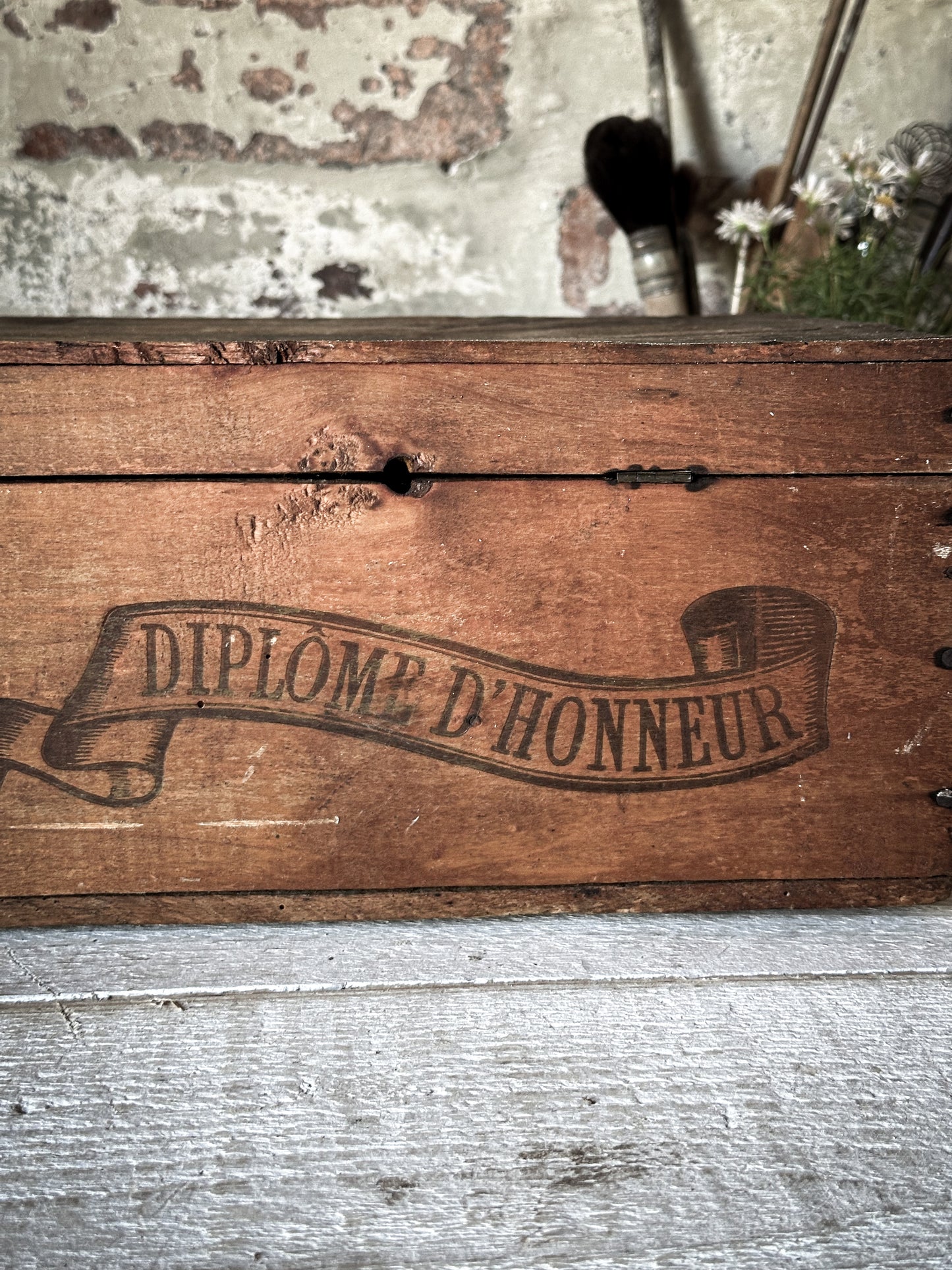 Amidon Au Chat Diplome D’ Honneur Shop Counter Box