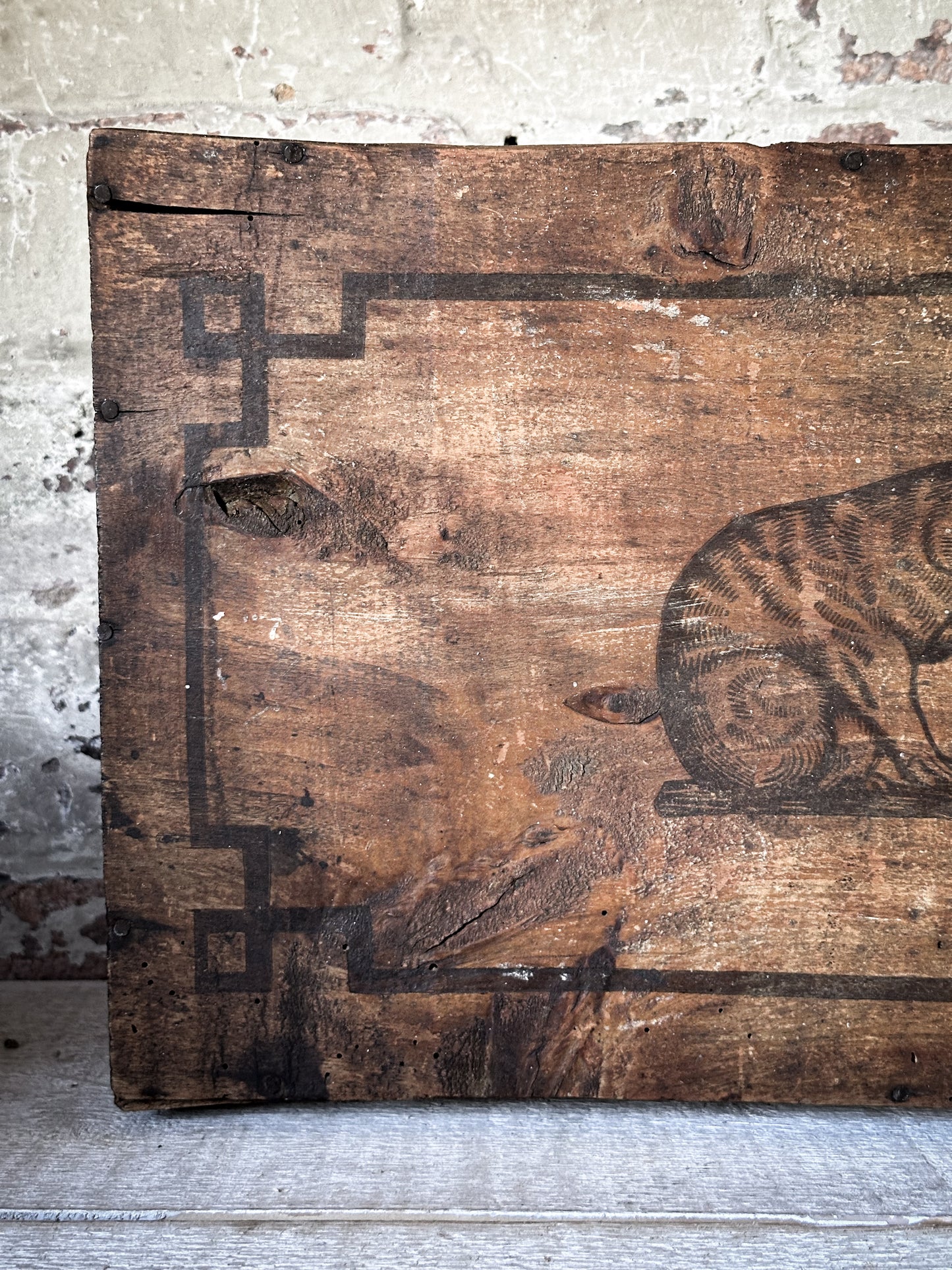 Amidon Au Chat Diplome D’ Honneur Shop Counter Box