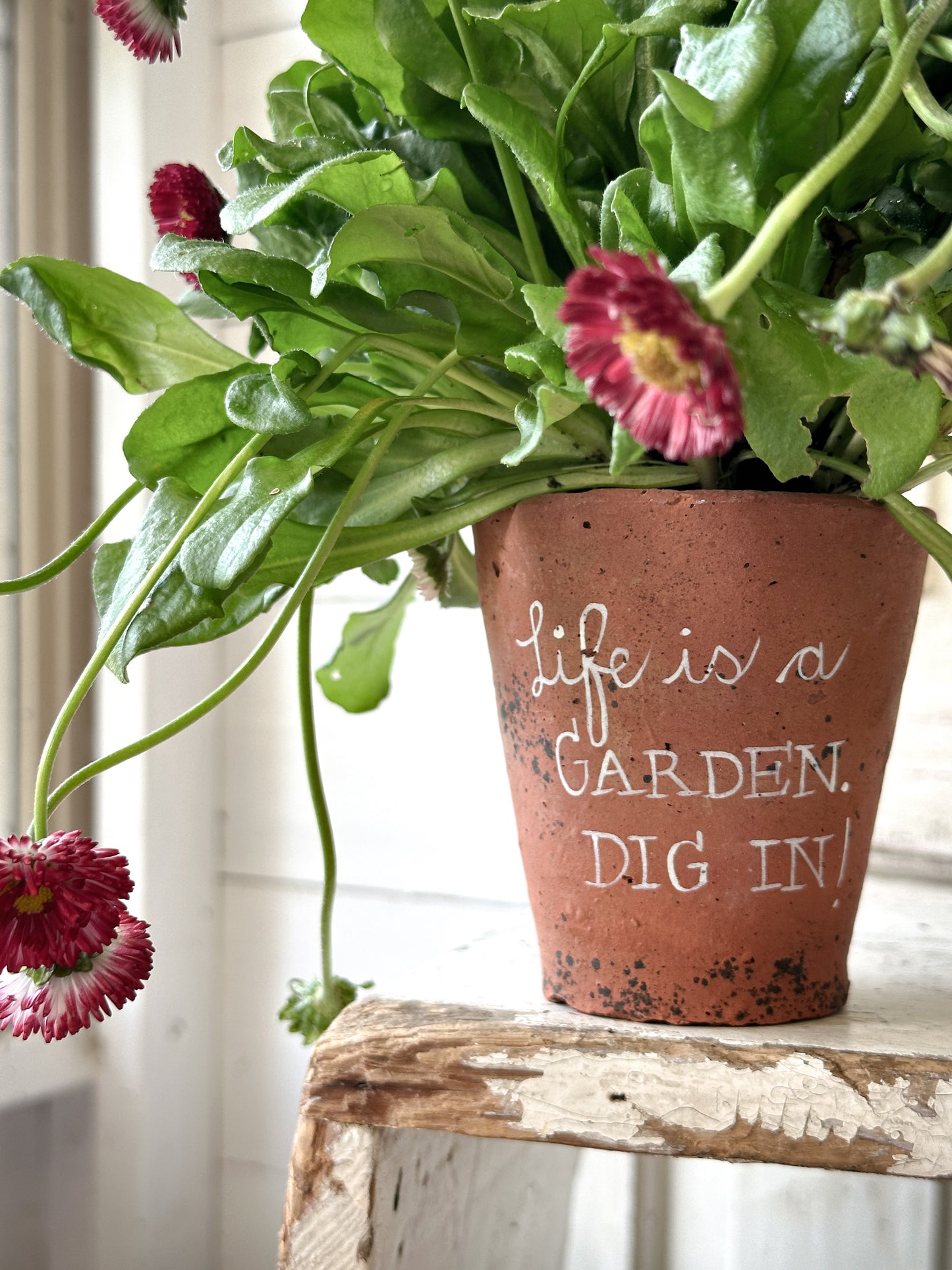 A Victorian terracotta pot with a quote