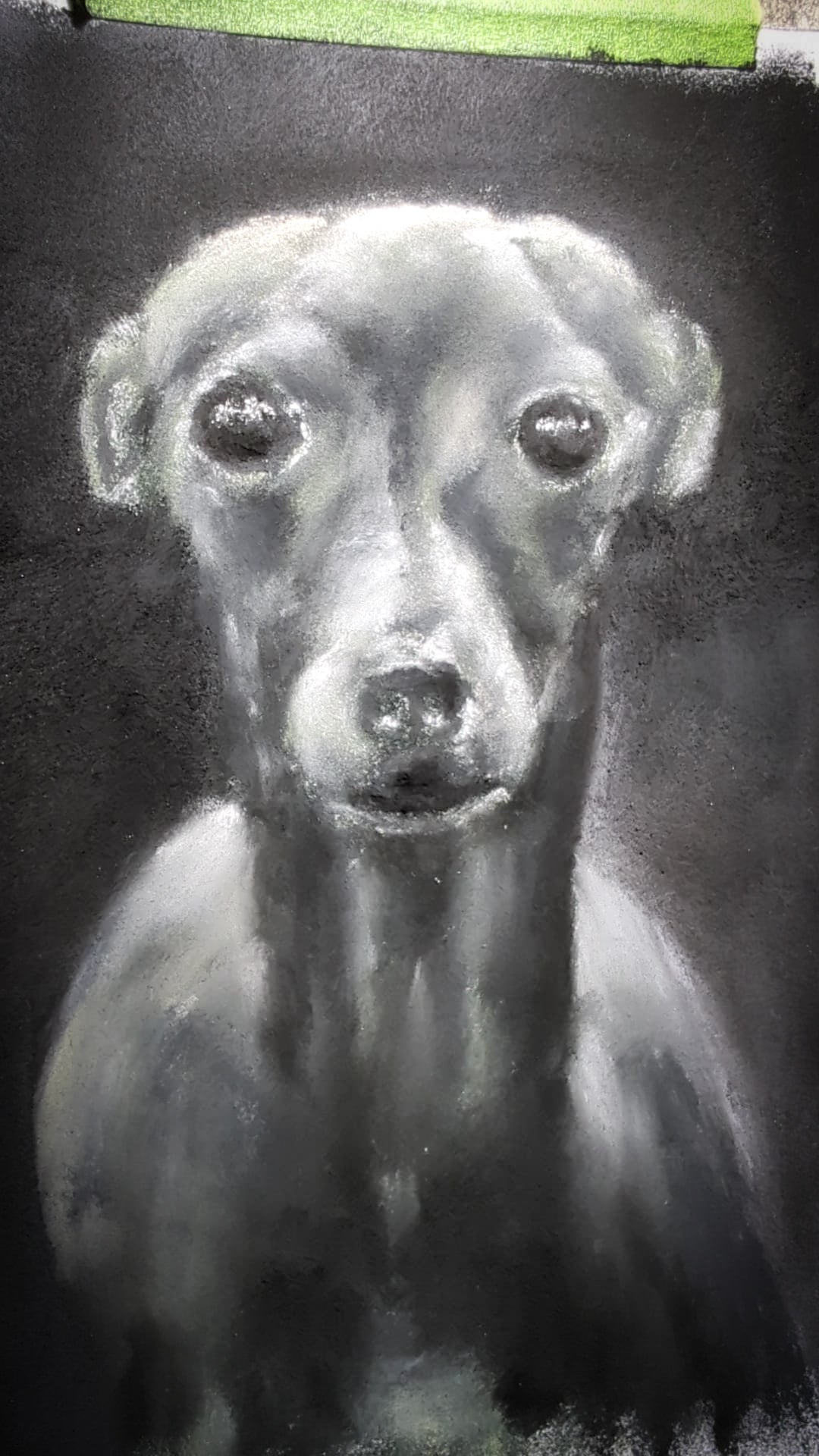 An original artwork by Steven Nicholas “Italian Greyhound”