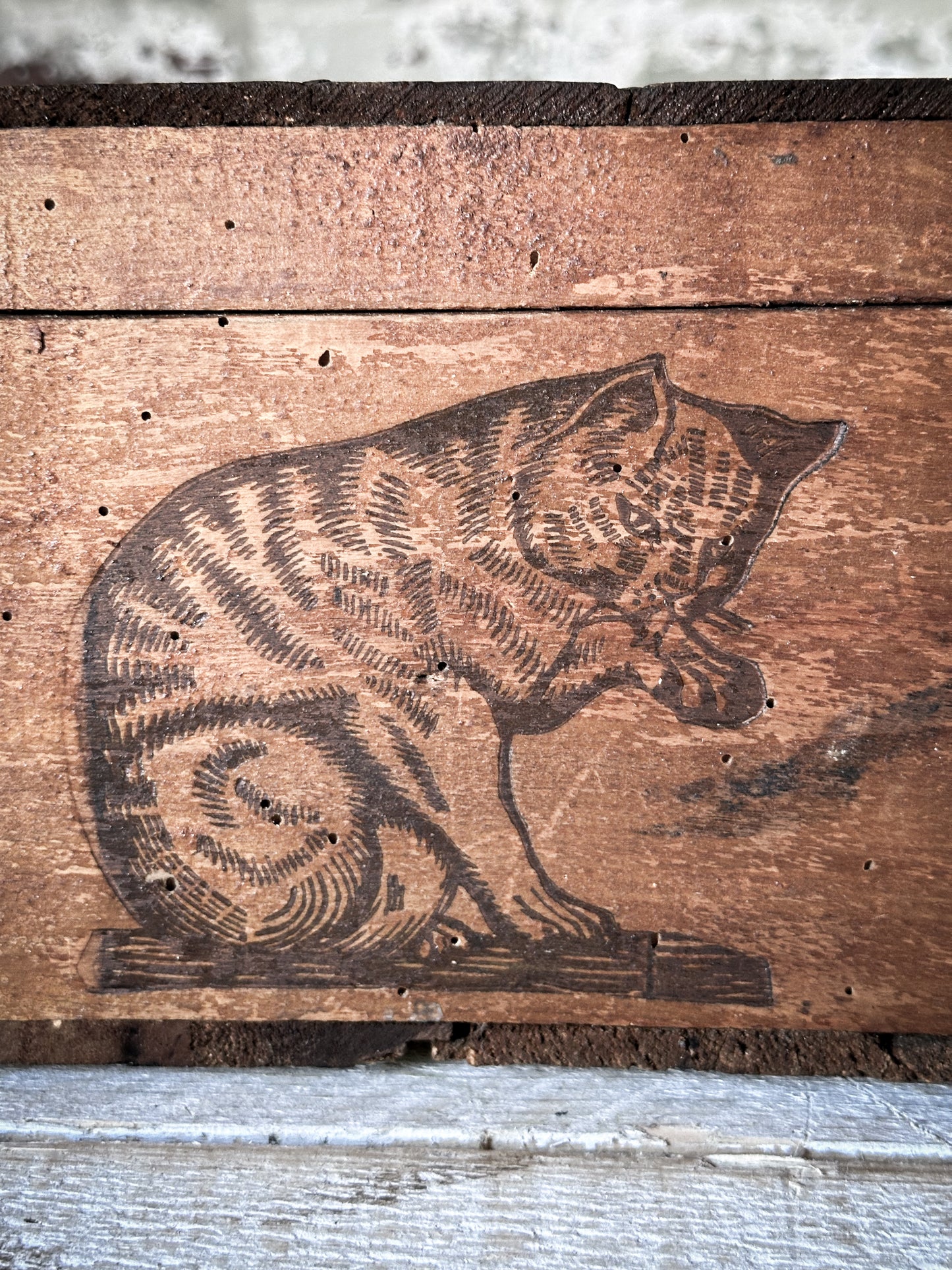 Amidon Au Chat Diplome D’ Honneur Shop Counter Box