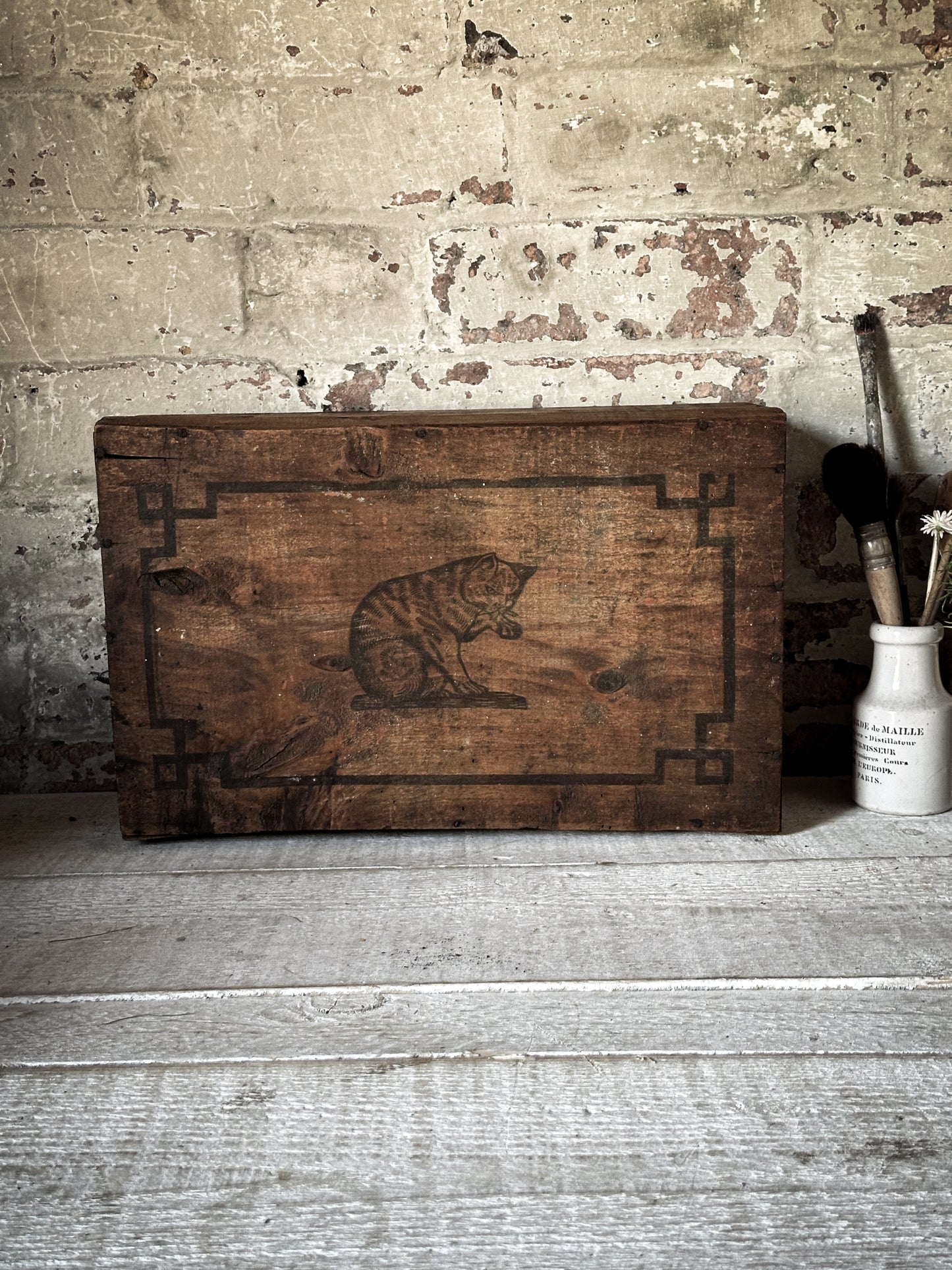 Amidon Au Chat Diplome D’ Honneur Shop Counter Box
