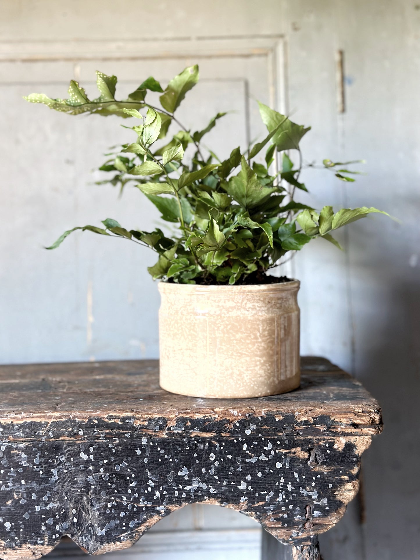 Lovely French pottery pot