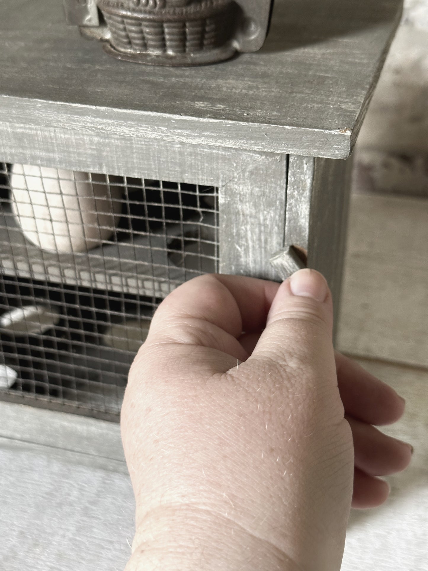 A vintage French chicken wire egg safe or egg cupboard egg holder egg rack