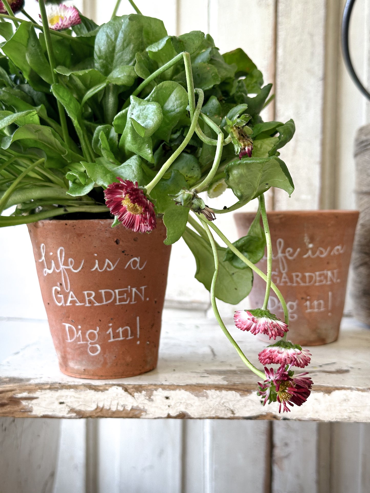 A Victorian terracotta pot with a quote “Life is a Garden”