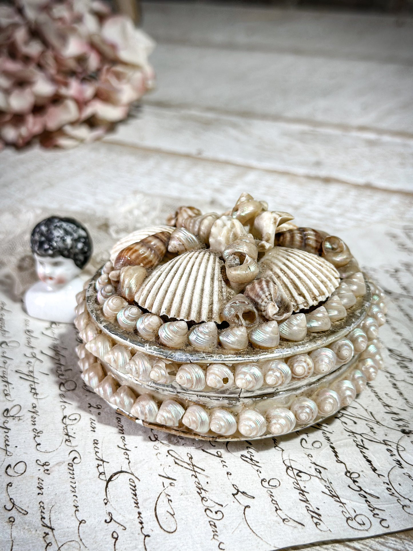 Antique French Shell Jewellery Box