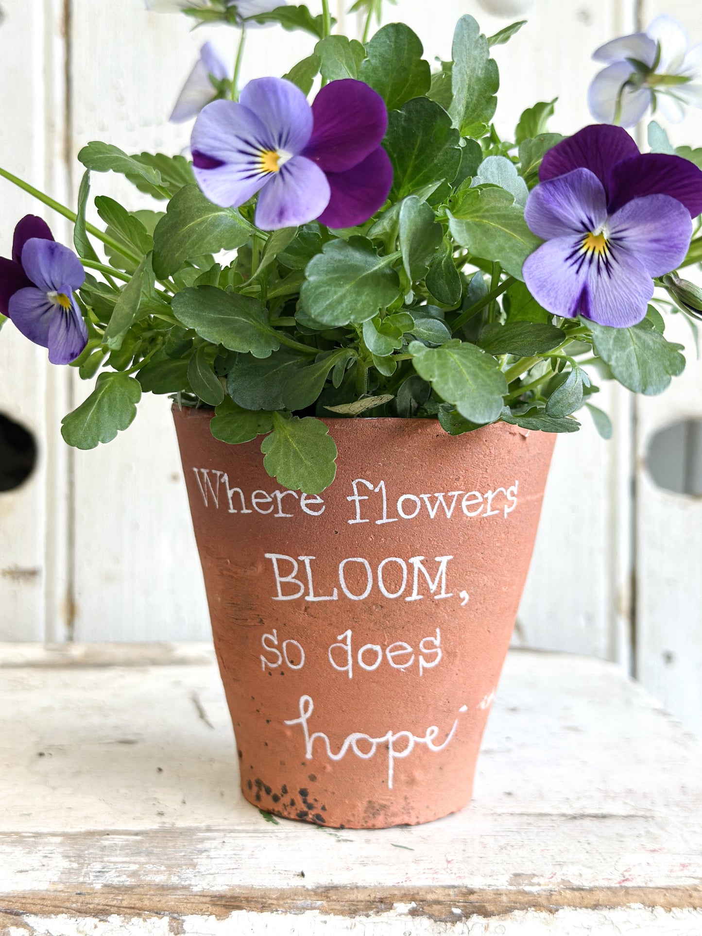 “Where Flowers Bloom” Terracotta Plant Pot