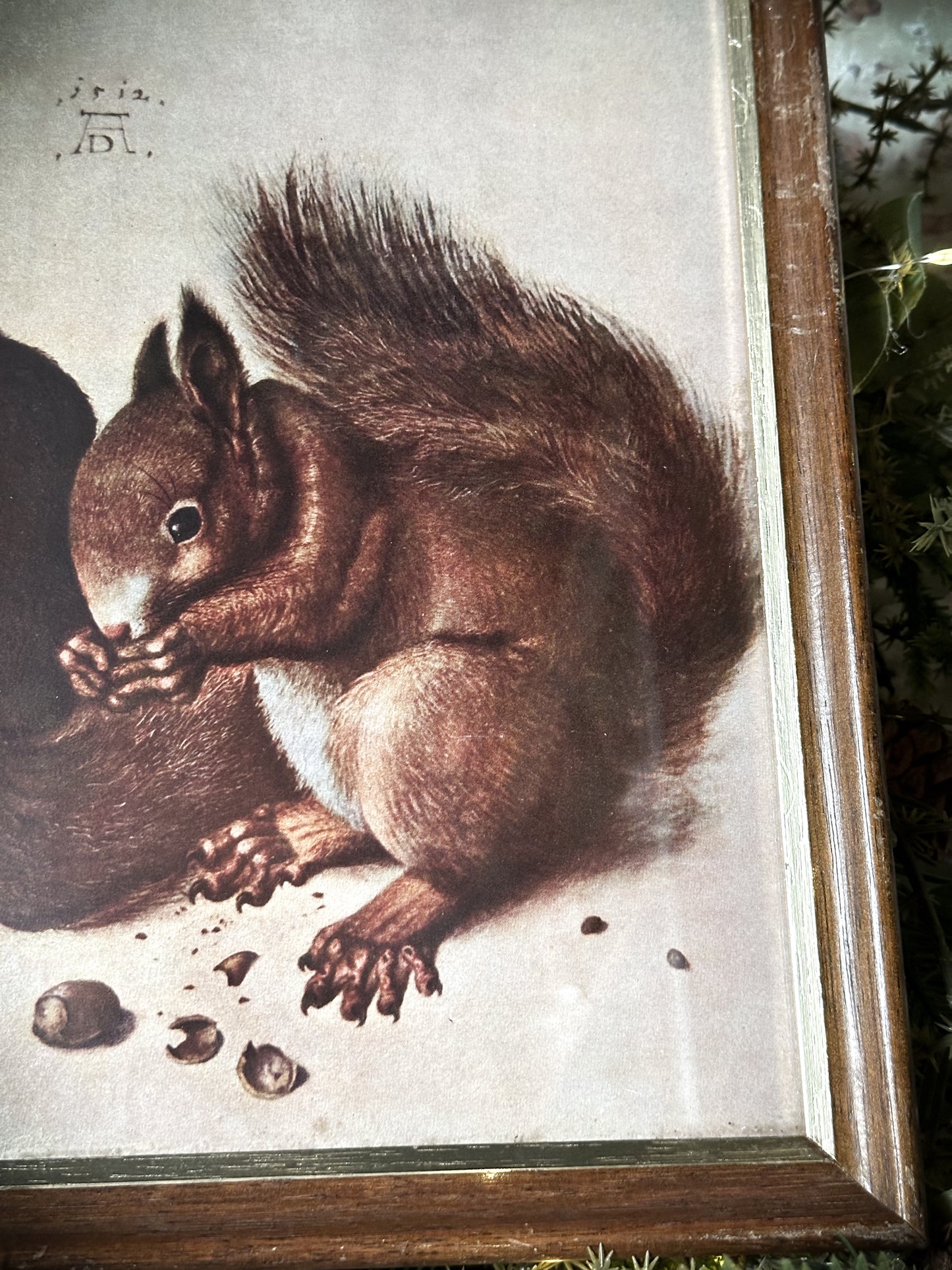 A Rare Vintage Framed Albrecht Durer Print of Squirrels