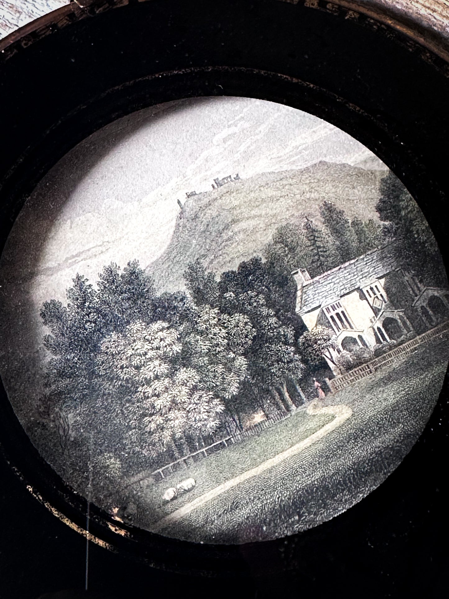 Antique Victorian Convex Glass Framed Topographical Print c.1880–1900