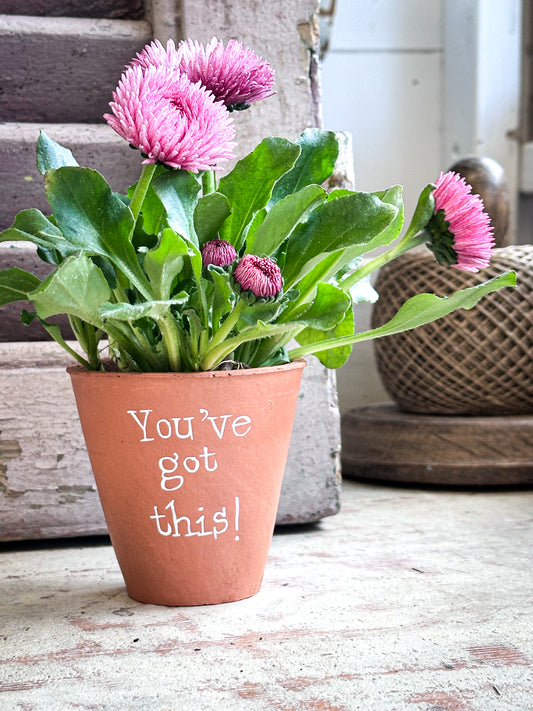 “You’ve Got This”  Mini Terracotta Plant Pot