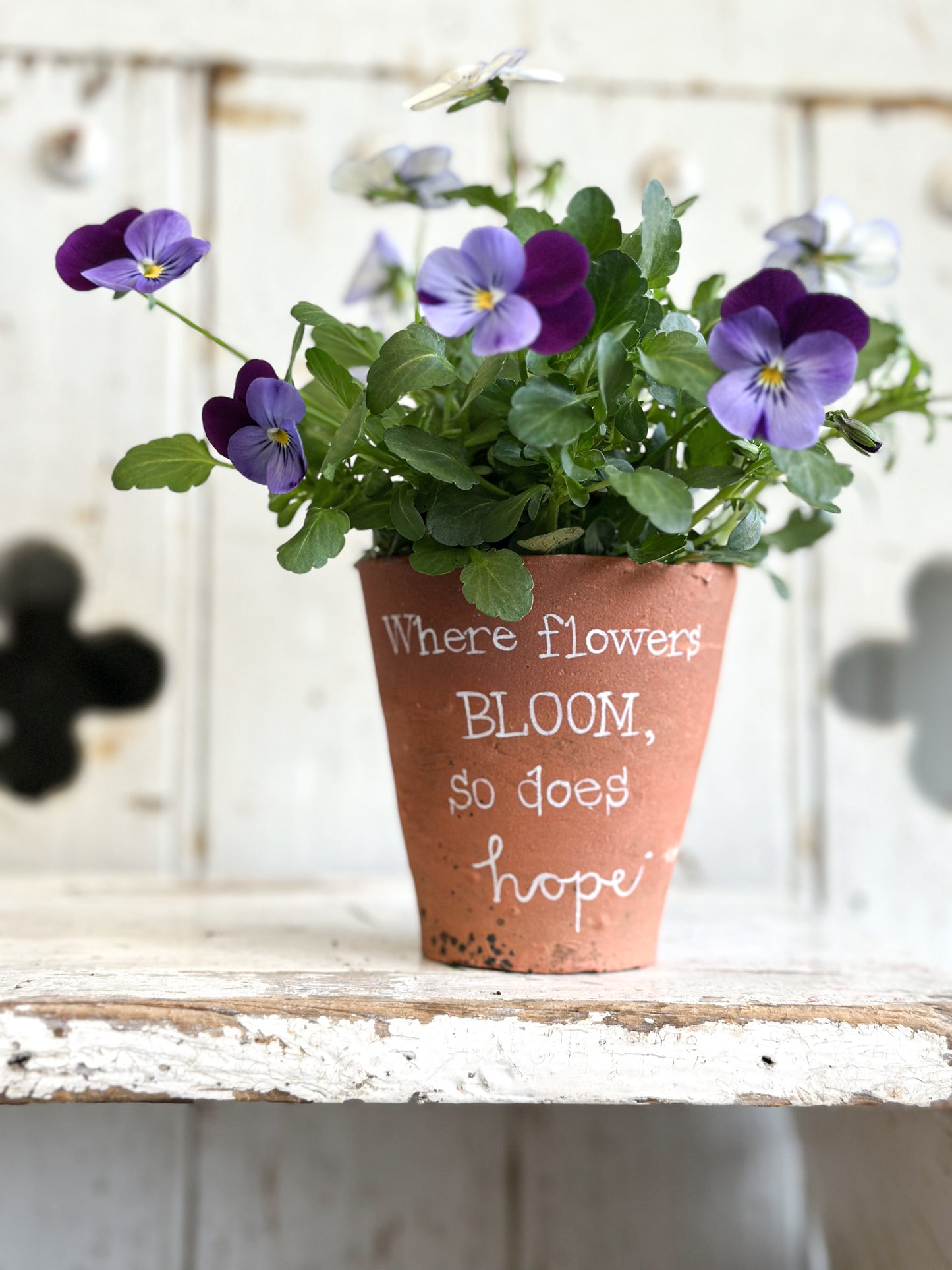 “Where Flowers Bloom” Terracotta Plant Pot