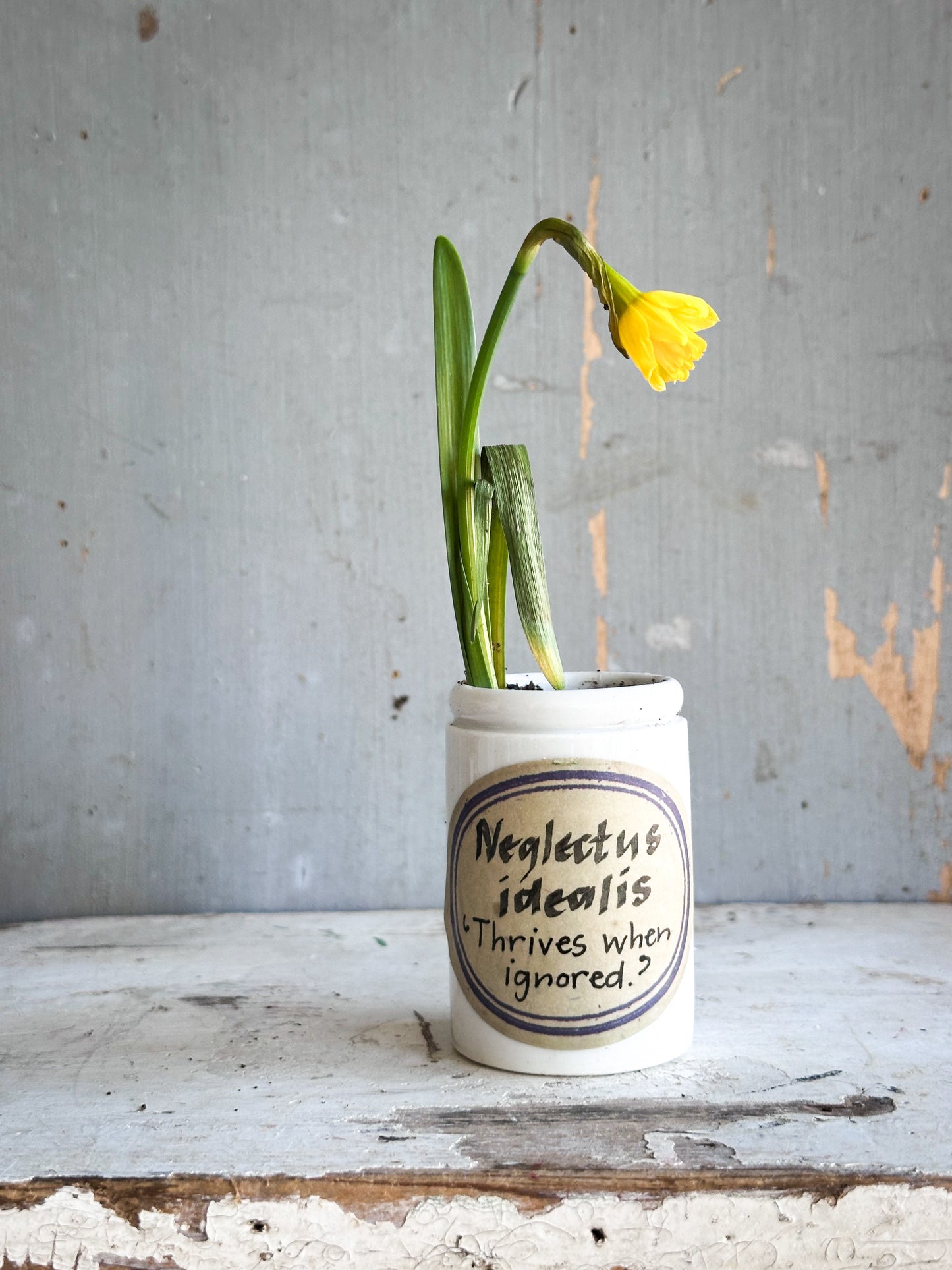 The Hopeful Gardener Specimen Pot