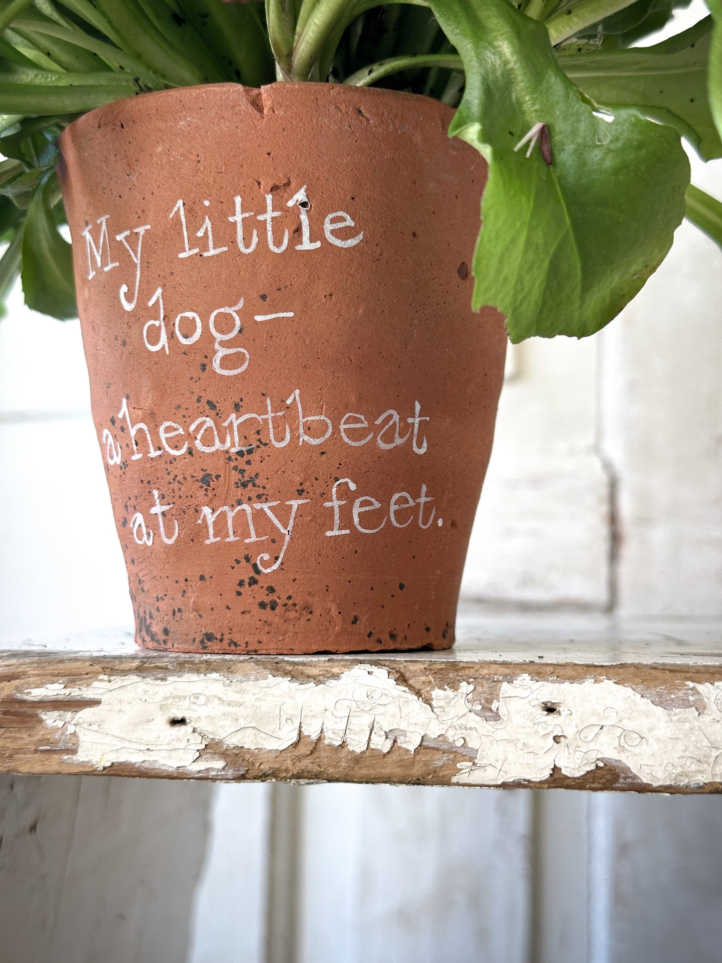 A Victorian terracotta pot with a quote “ My Little Dog”