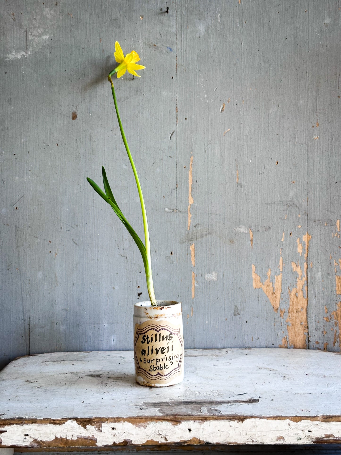 The Hopeful Gardener Specimen Pot