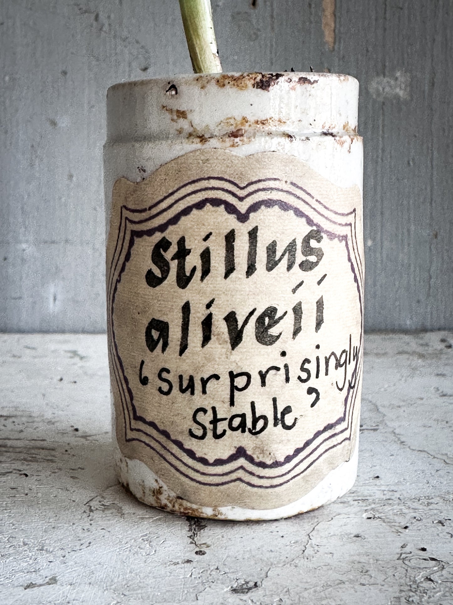The Hopeful Gardener Specimen Pot