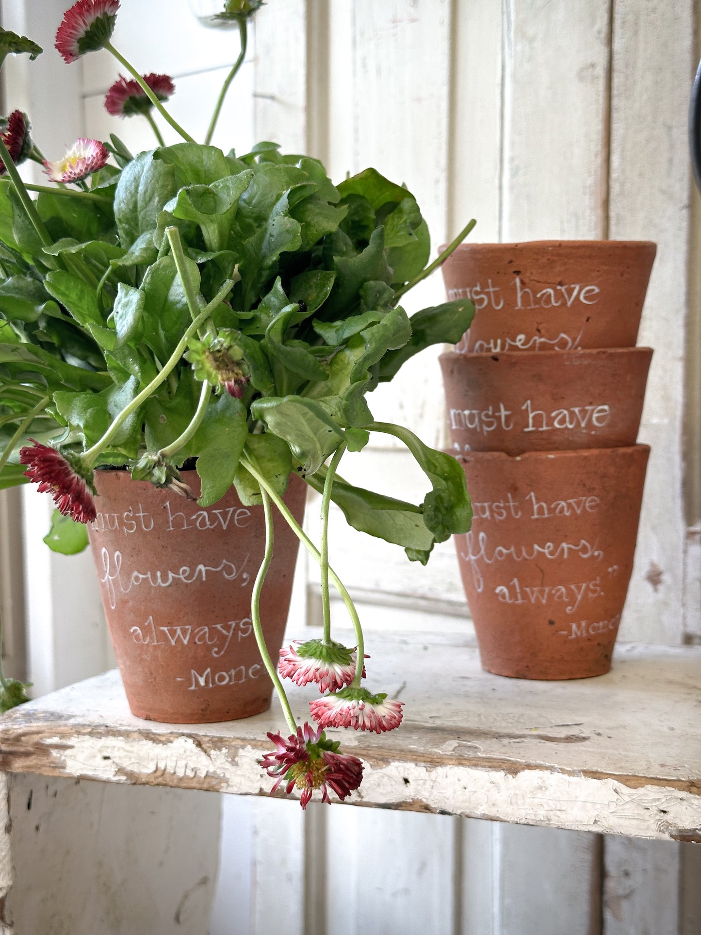 A Victorian terracotta pot with a quote “I must have flowers”