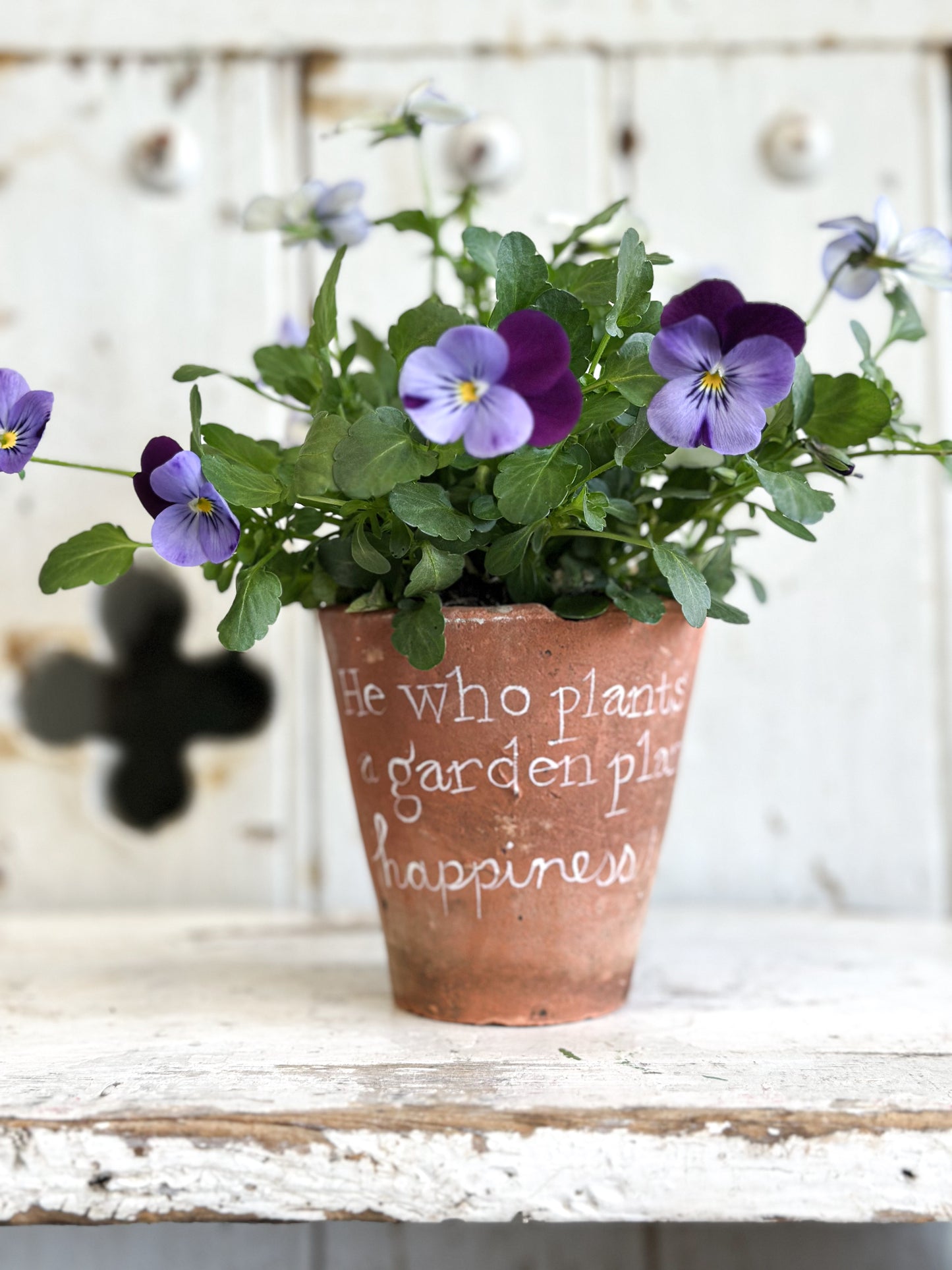 “He who plants a garden” Terracotta Plant Pot