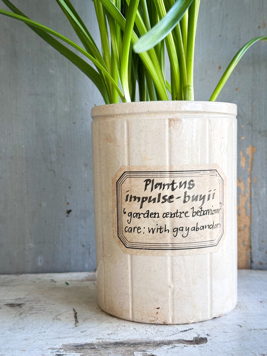 The Hopeful Gardener™ Specimen Pot