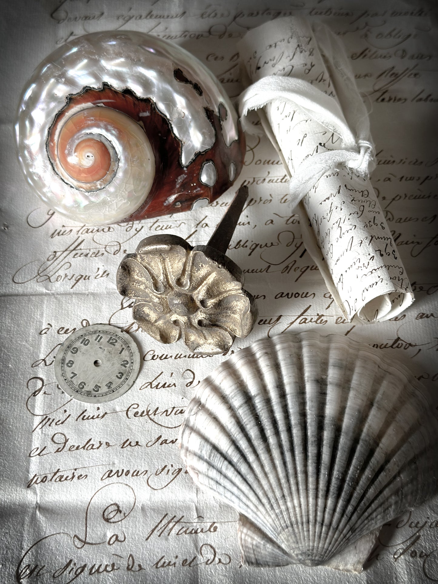 A collection of found objects to fill a glass dome