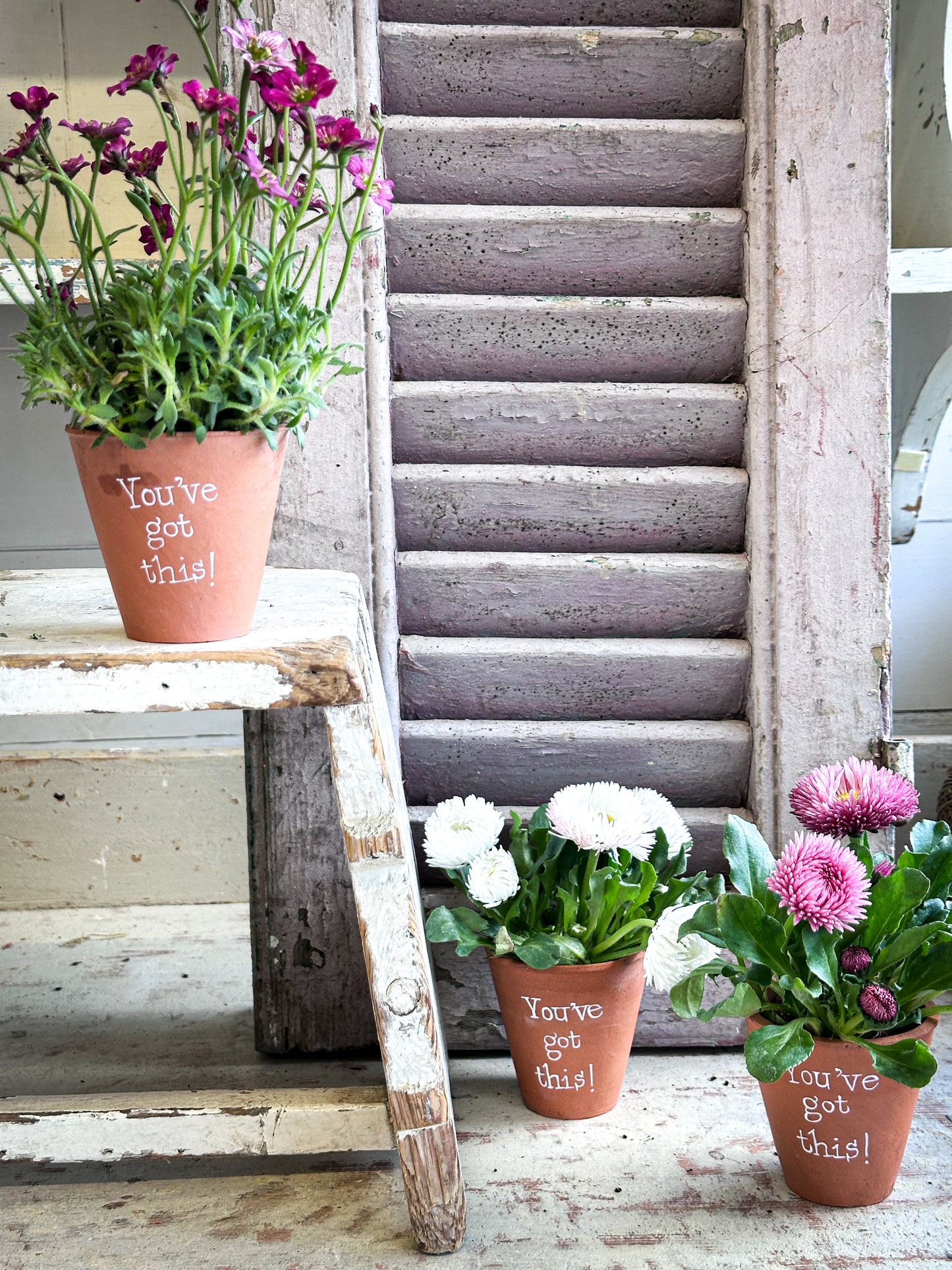 “You’ve Got This”  Mini Terracotta Plant Pot