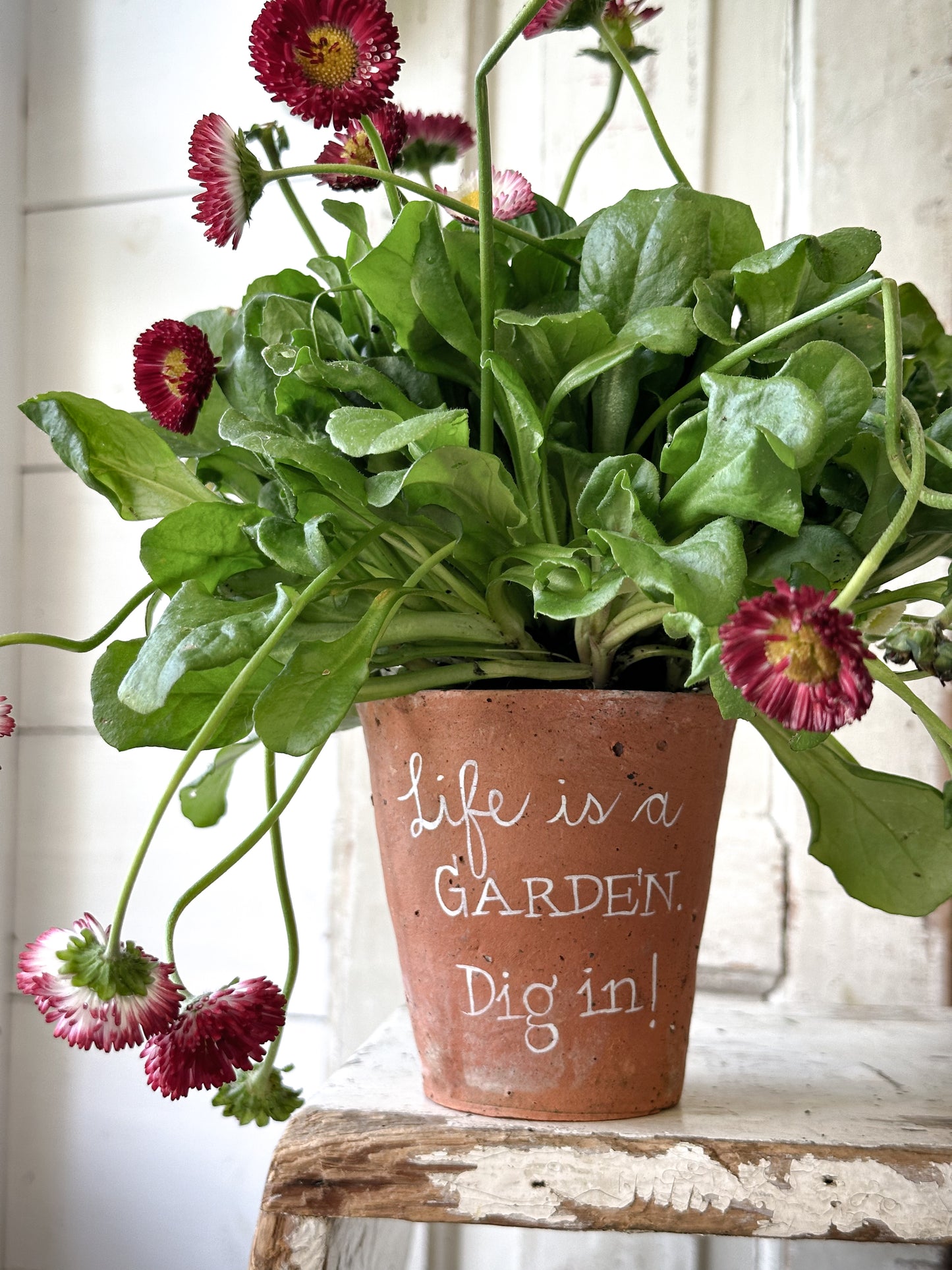 A Victorian terracotta pot with a quote “Life is a Garden”