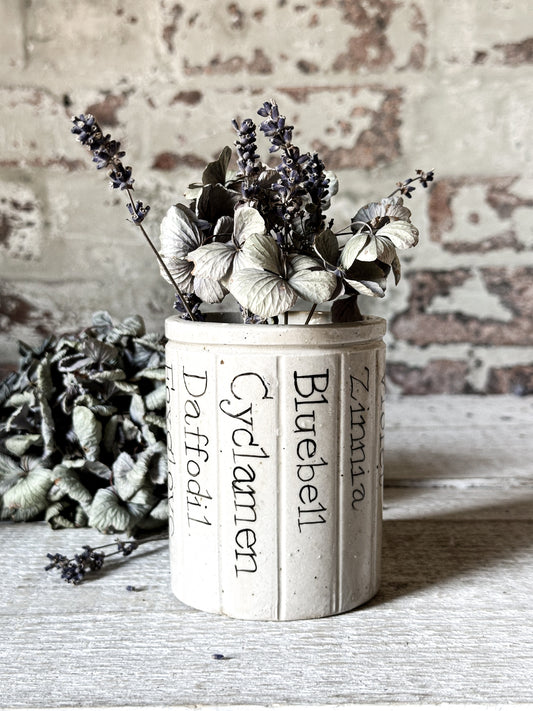 A Victorian Stoneware Preserve jar with hand painted botanical names pot