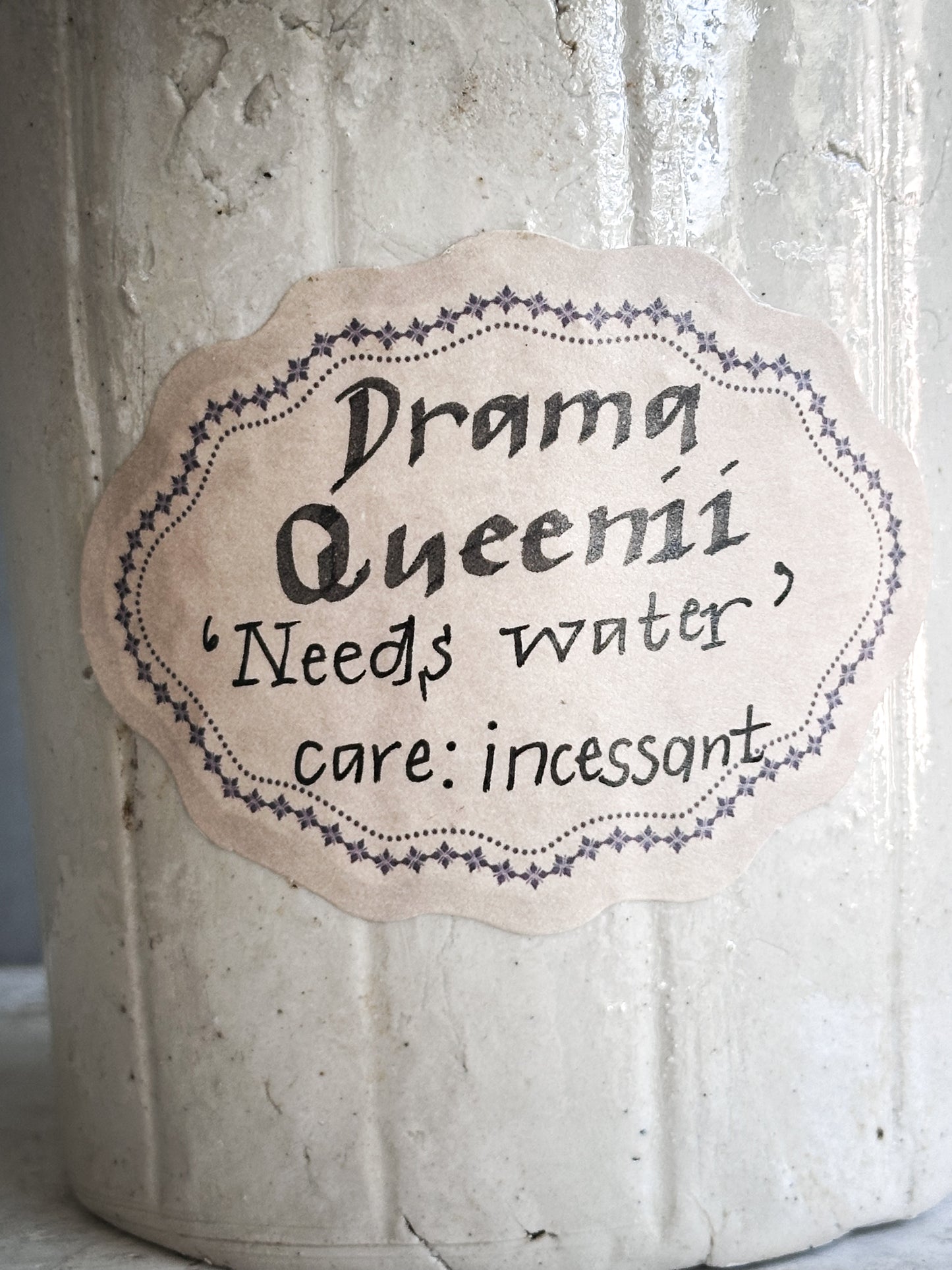 The Hopeful Gardener™ Specimen Pot