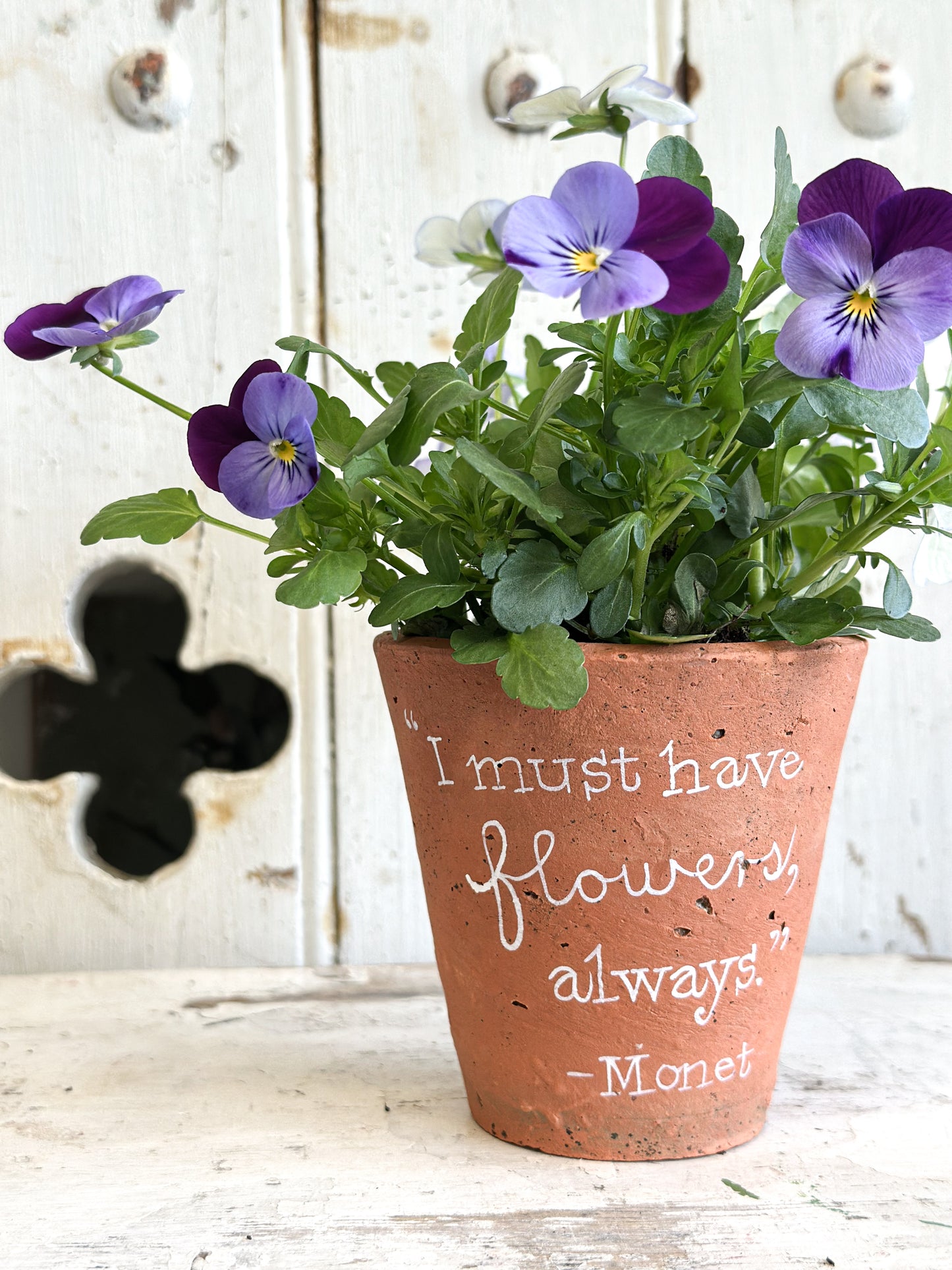 “I Must Have Flowers”  Terracotta Plant Pot