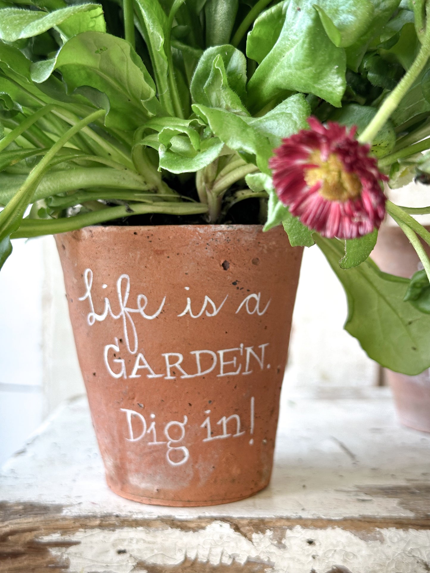 A Victorian terracotta pot with a quote “Life is a Garden”