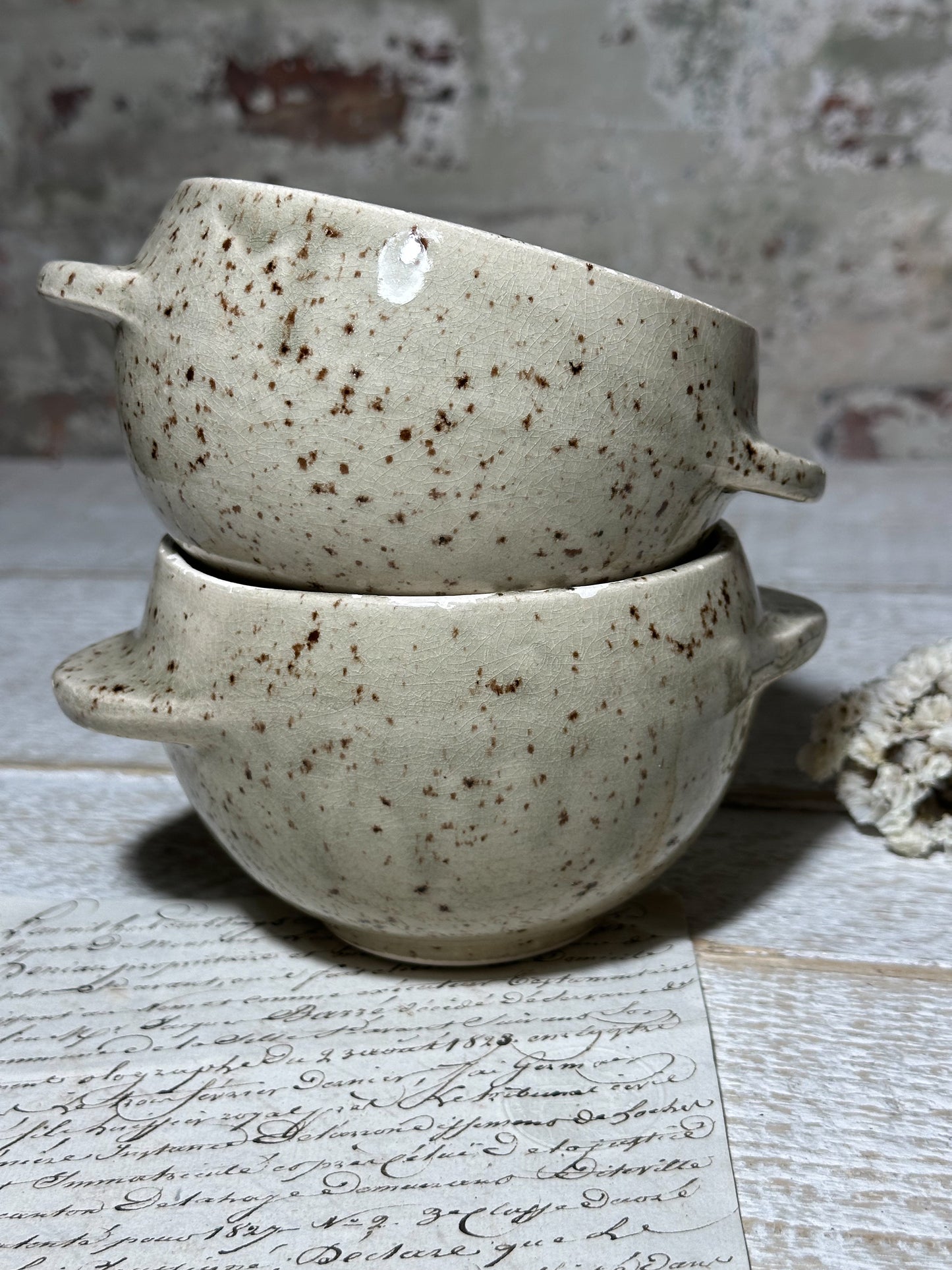 Vintage French Speckle Glazed Stoneware bowls