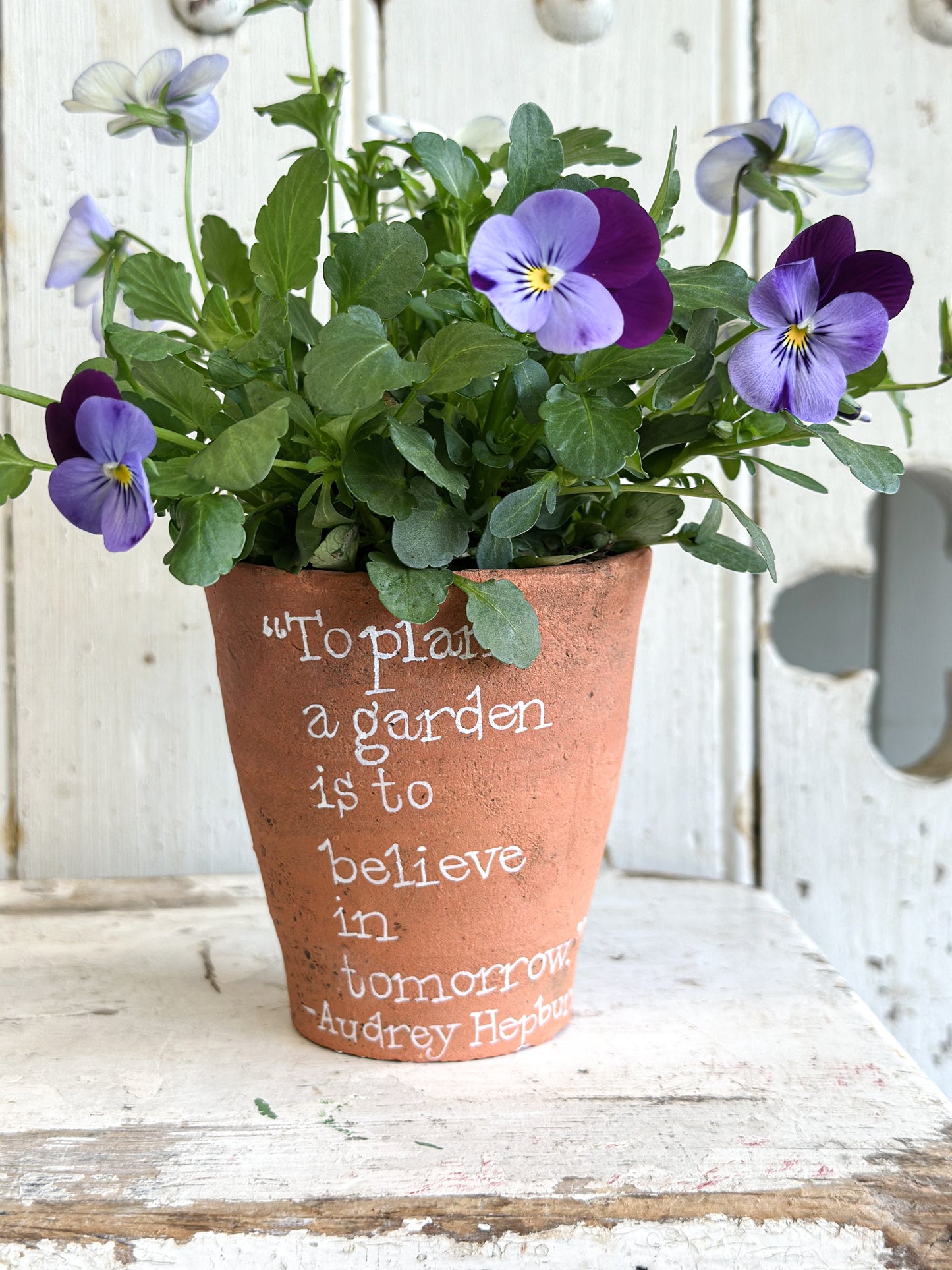 “To Plant a Garden” Terracotta Plant Pot