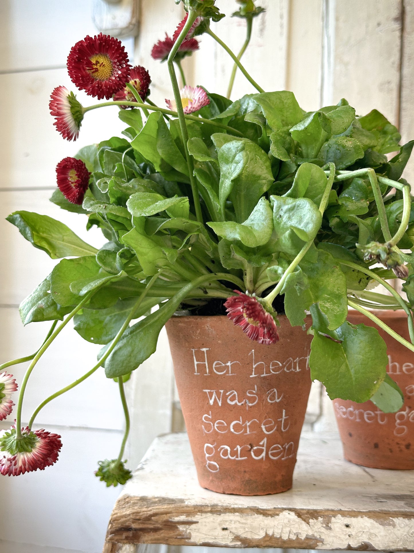 A Victorian terracotta pot with a quote “ Her heart was a Secret Garden”