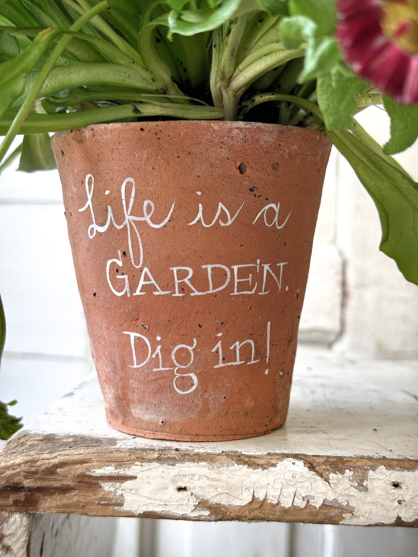 A Victorian terracotta pot with a quote “Life is a Garden”