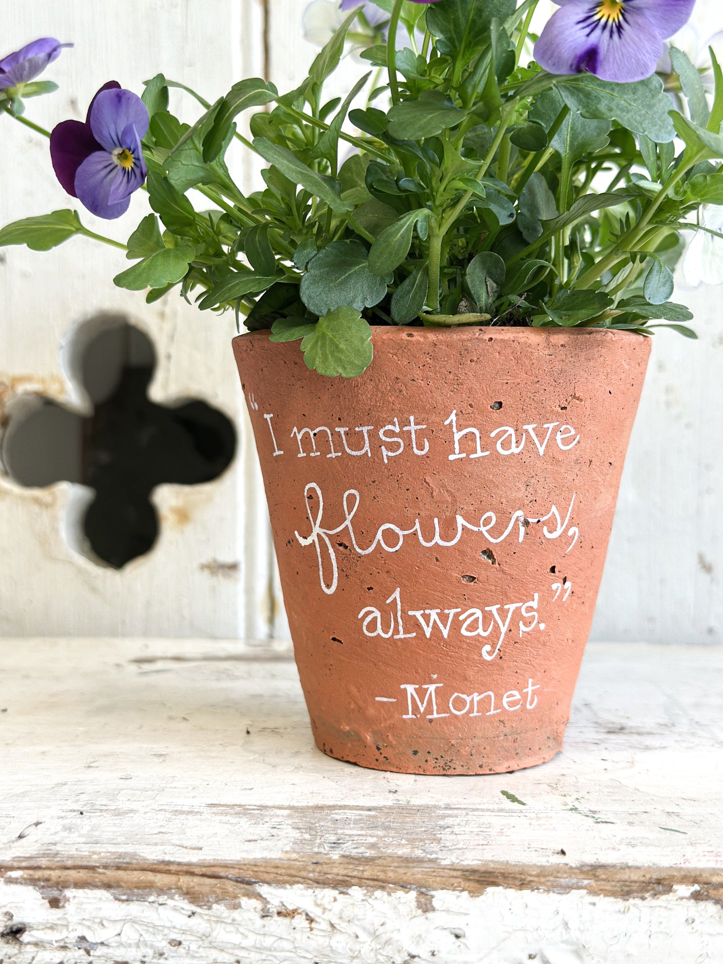 “I Must Have Flowers”  Terracotta Plant Pot