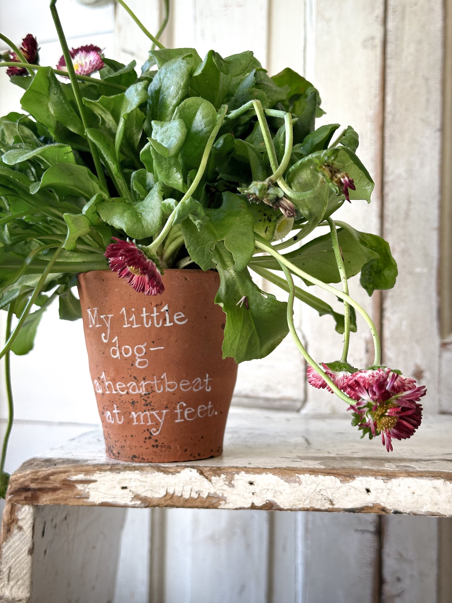 A Victorian terracotta pot with a quote “ My Little Dog”