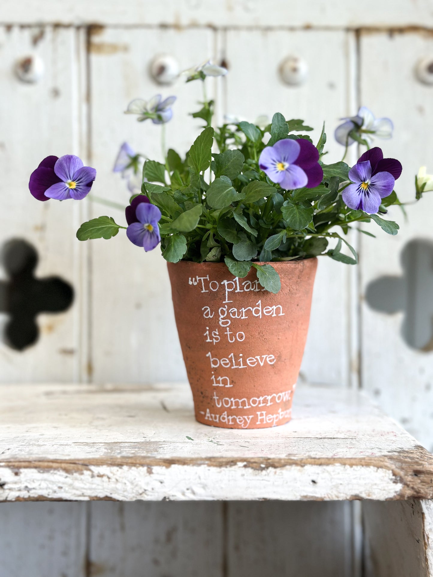 “To Plant a Garden” Terracotta Plant Pot