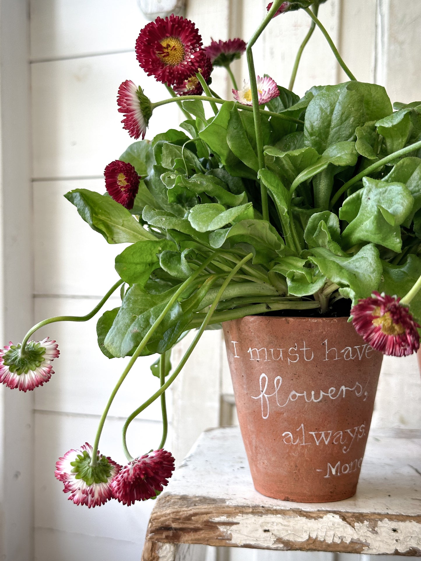 A Victorian terracotta pot with a quote “I must have flowers”